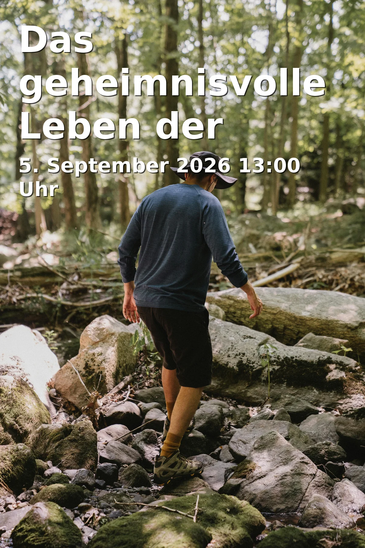 Event: The Mysterious Life of Trees in Treffpunkt Haus des Gastes – Tourismusbüro, Alte Rathausstr. 11, Prien am Chiemsee on 5. September 2026