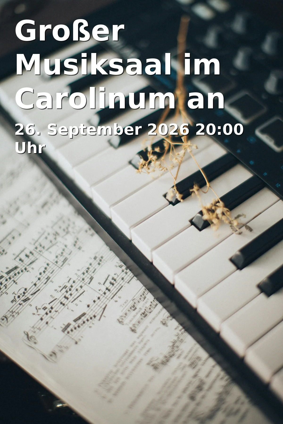 Event: Großer Musiksaal im Carolinum an der Grünen Nacht in Reuterstraße 9, 91522 Ansbach on 26. September 2026
