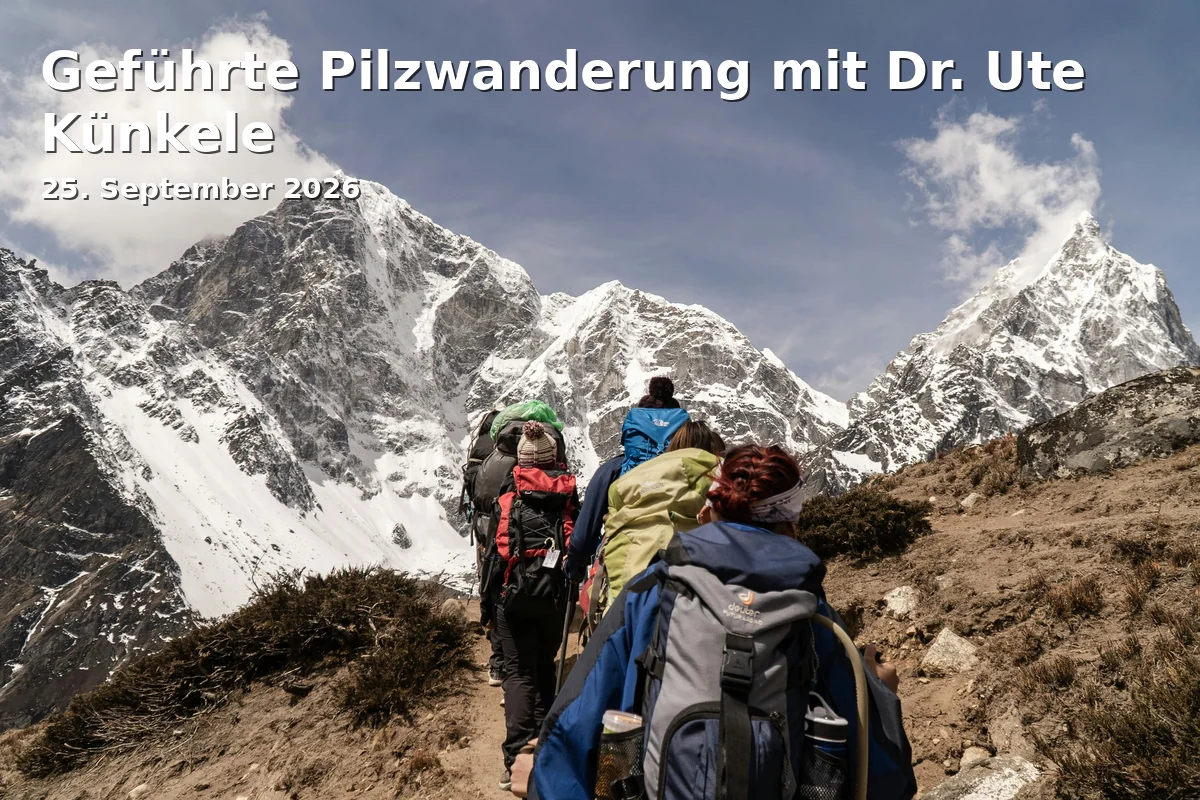 Event: Geführte Pilzwanderung mit Dr. Ute Künkele in Naturerlebnisgebiet Traunstein, Waldstraße 5, 83278 Traunstein on 25. September 2026