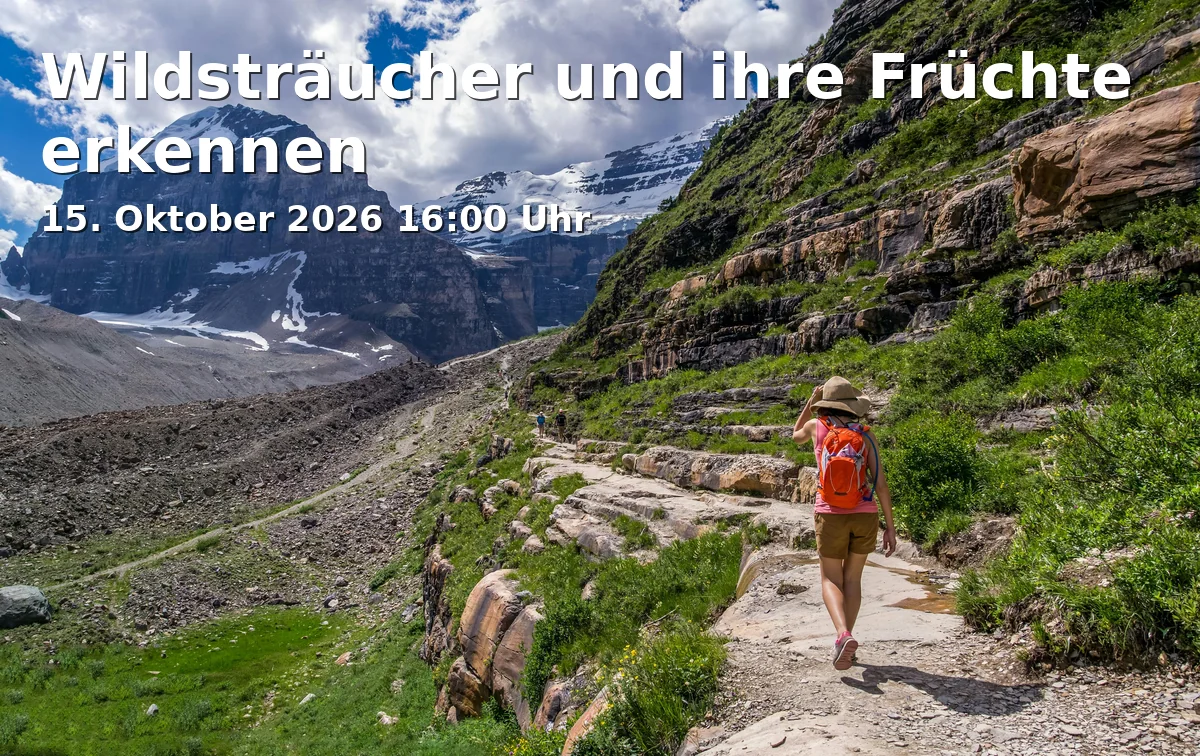 Event: Wildsträucher und ihre Früchte erkennen in Kreuzung Jakobinenstr./Dr.-Mack-Str., Jakobinenstraße, 90762 Fürth on 15. Oktober 2026