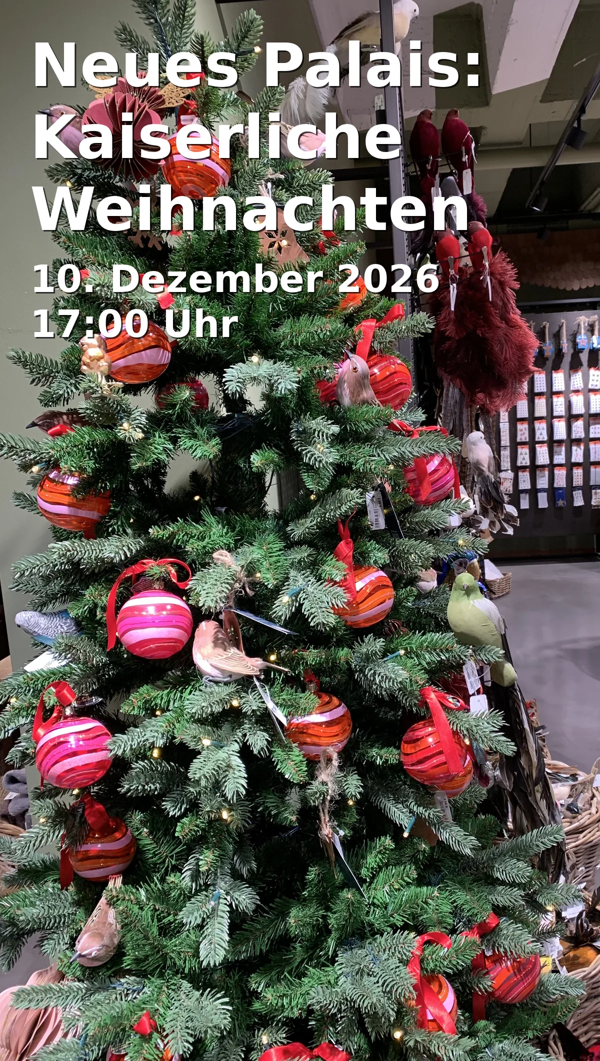 Event: Neues Palais: Kaiserliche Weihnachten in Am Neuen Palais 10, 14469 Potsdam on 10. Dezember 2026