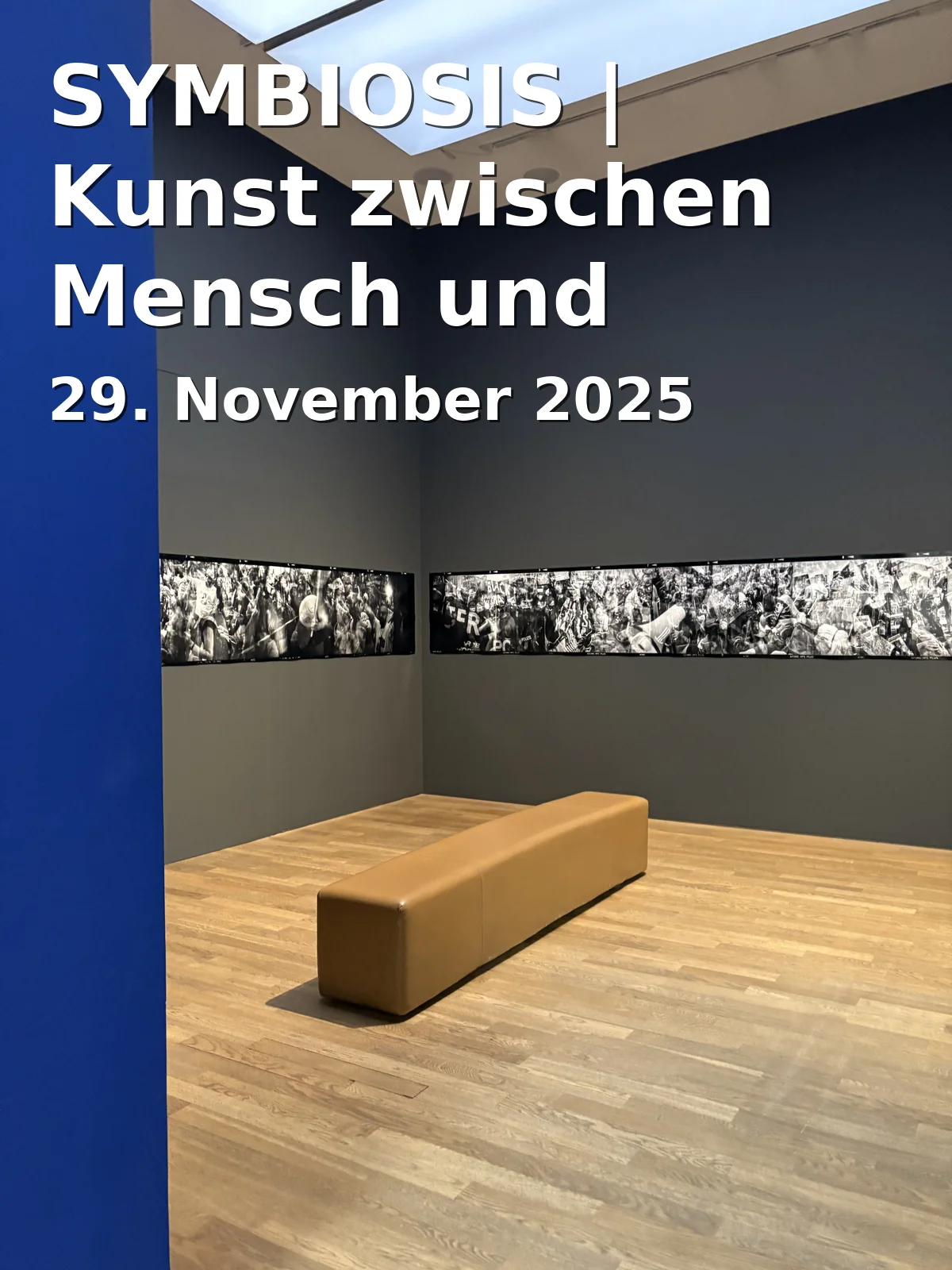 SYMBIOSIS | Kunst zwischen Mensch und Natur
