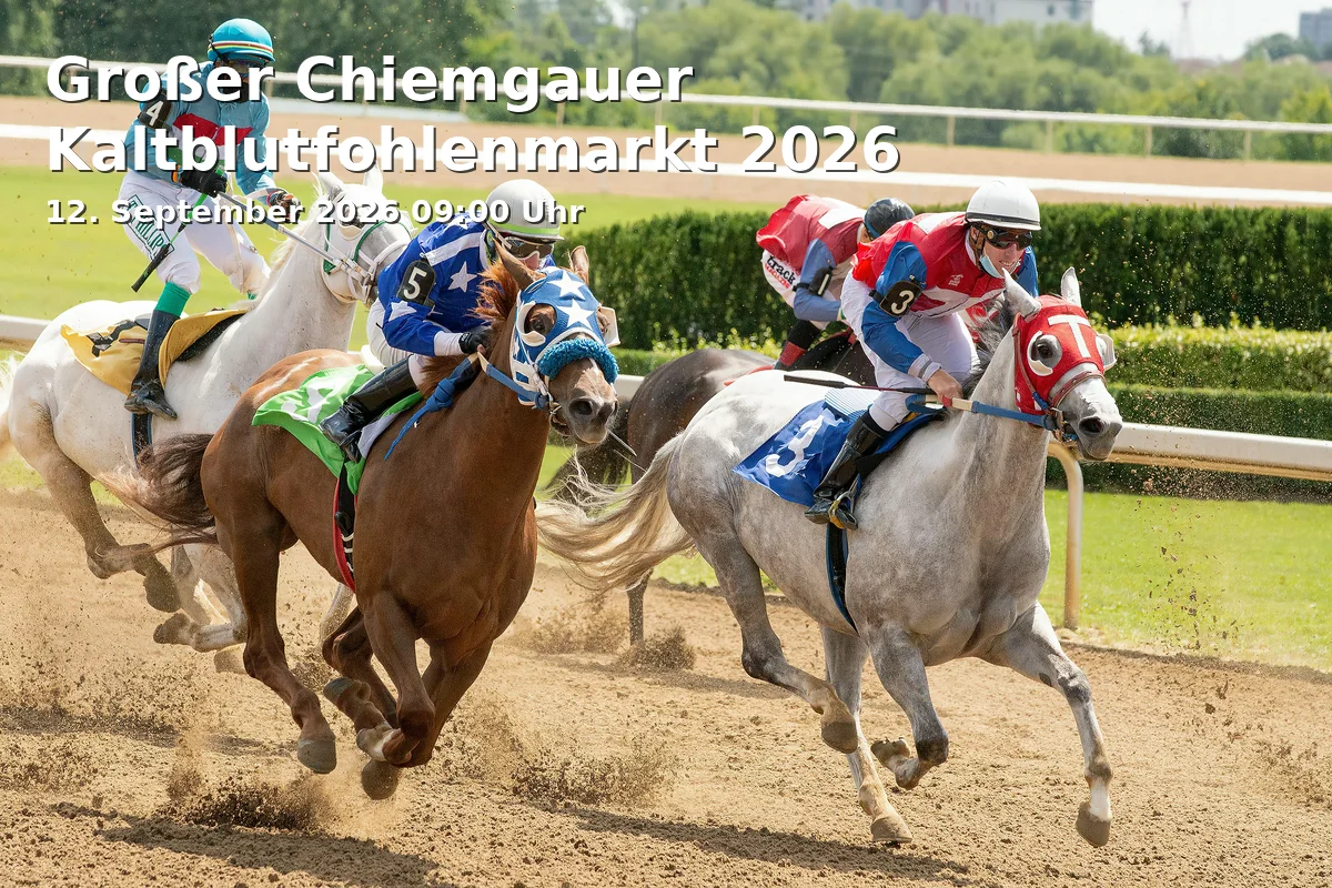 Event: Großer Chiemgauer Kaltblutfohlenmarkt 2026