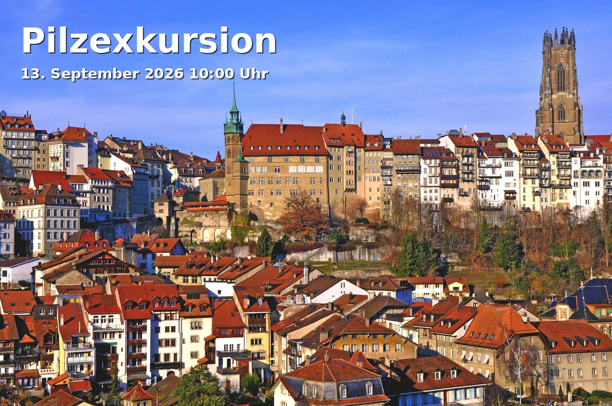 Pilzexkursion
