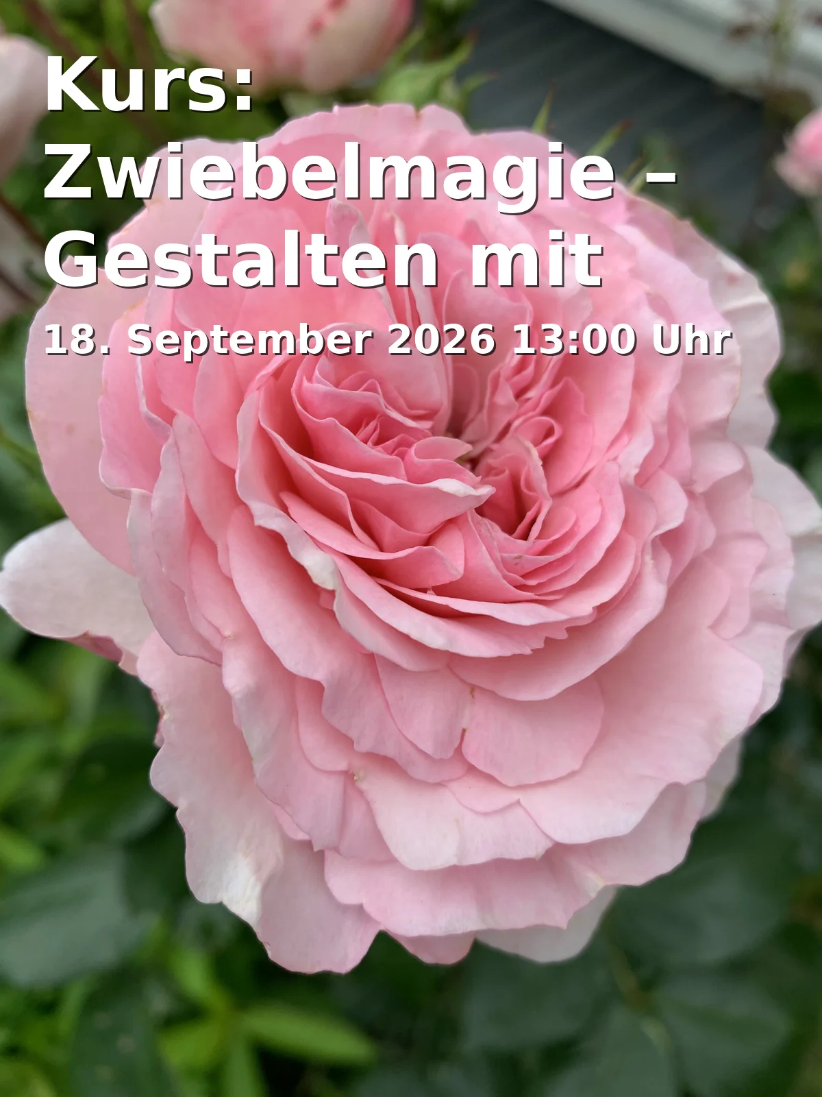 Kurs: Zwiebelmagie – Gestalten mit Blumenzwiebeln