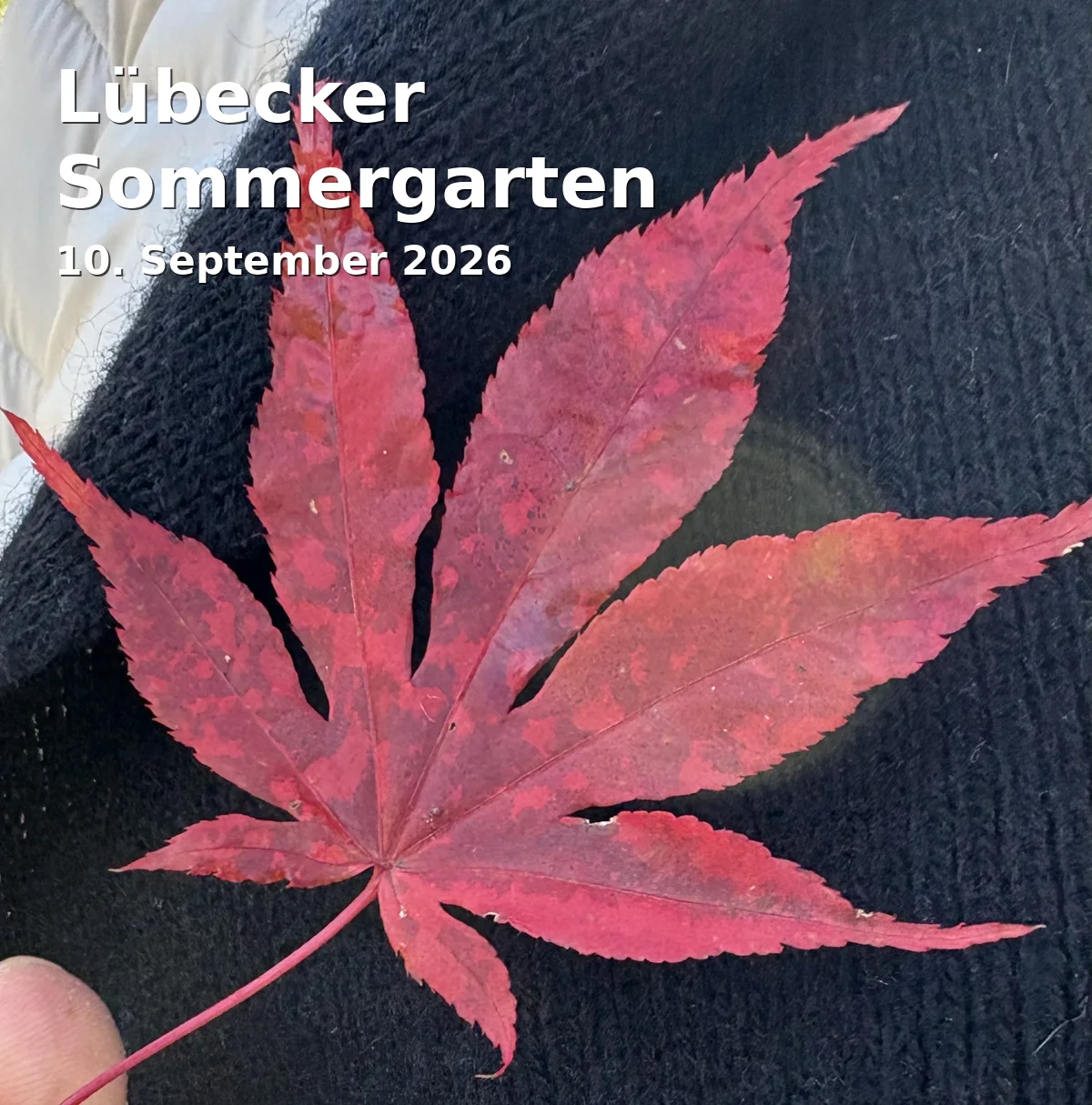 Event: Lübecker Sommergarten