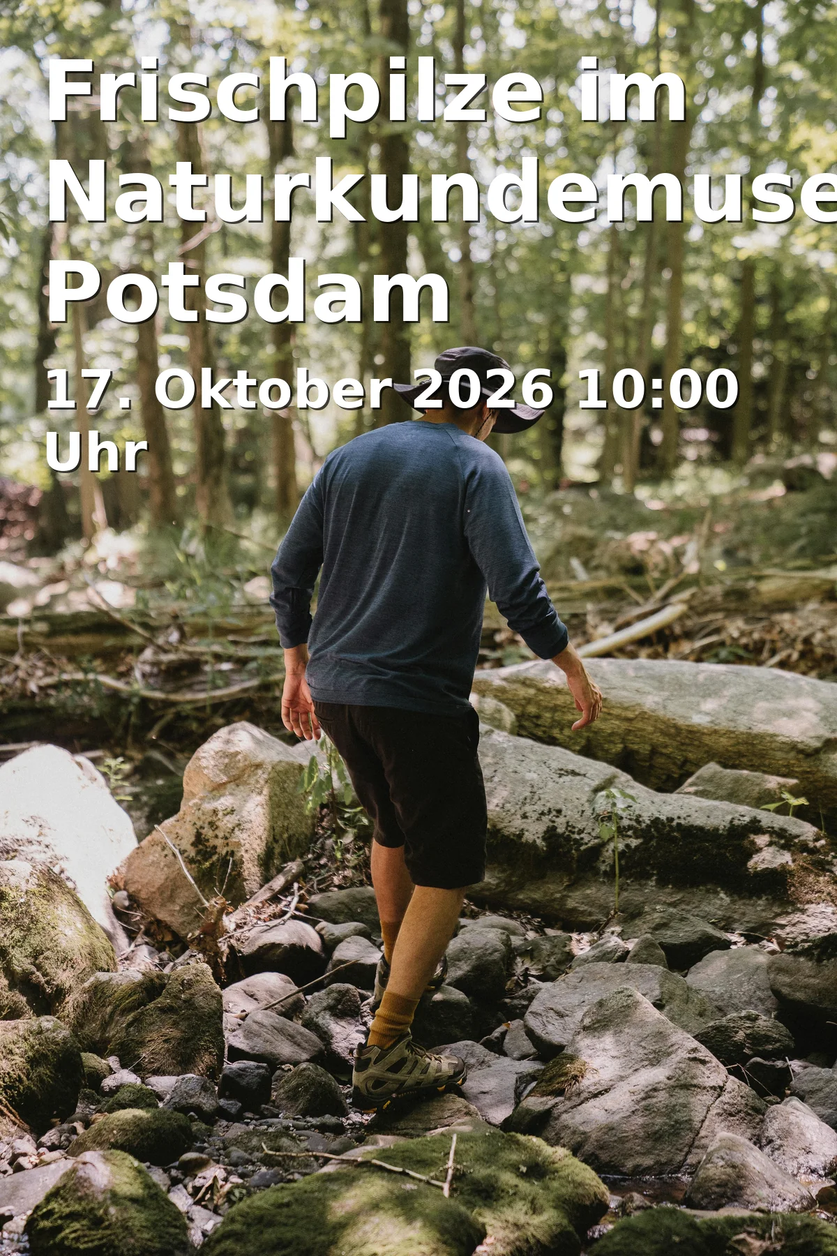 Event: Frischpilze im Naturkundemuseum Potsdam in Breite Straße 13, 14467 Potsdam on 17. Oktober 2026