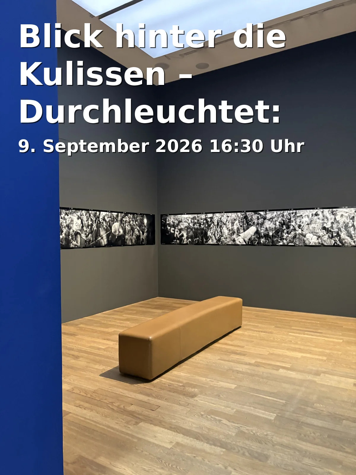Event: Blick hinter die Kulissen – Durchleuchtet: Kunst und Röntgentechnologie in Herzog Anton Ulrich-Museum, Museumstraße 1, 38100 Braunschweig on 9. September 2026