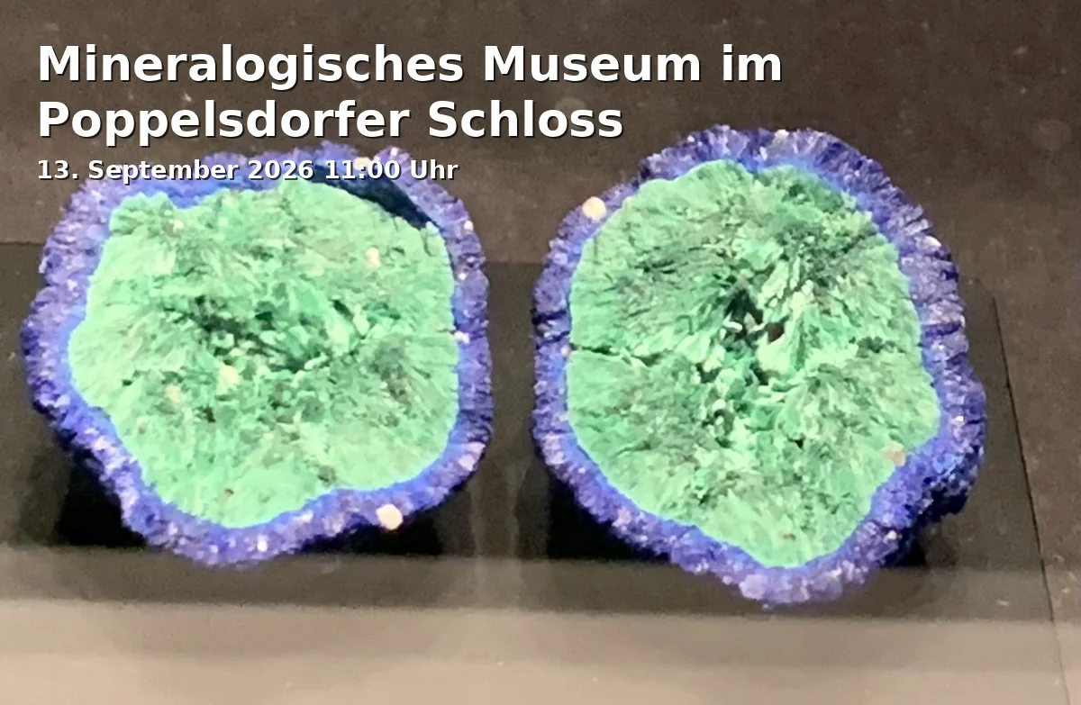 Event: Mineralogical Museum in Poppelsdorfer Palace
