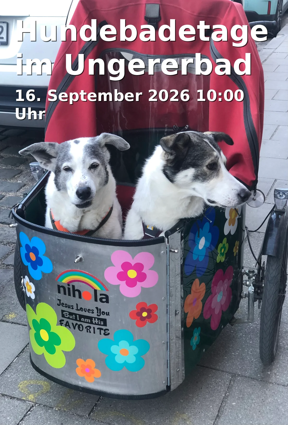 Event: Hundebadetage im Ungererbad in Ungererbad, Traubestraße 3, 80805 München on 16. September 2026