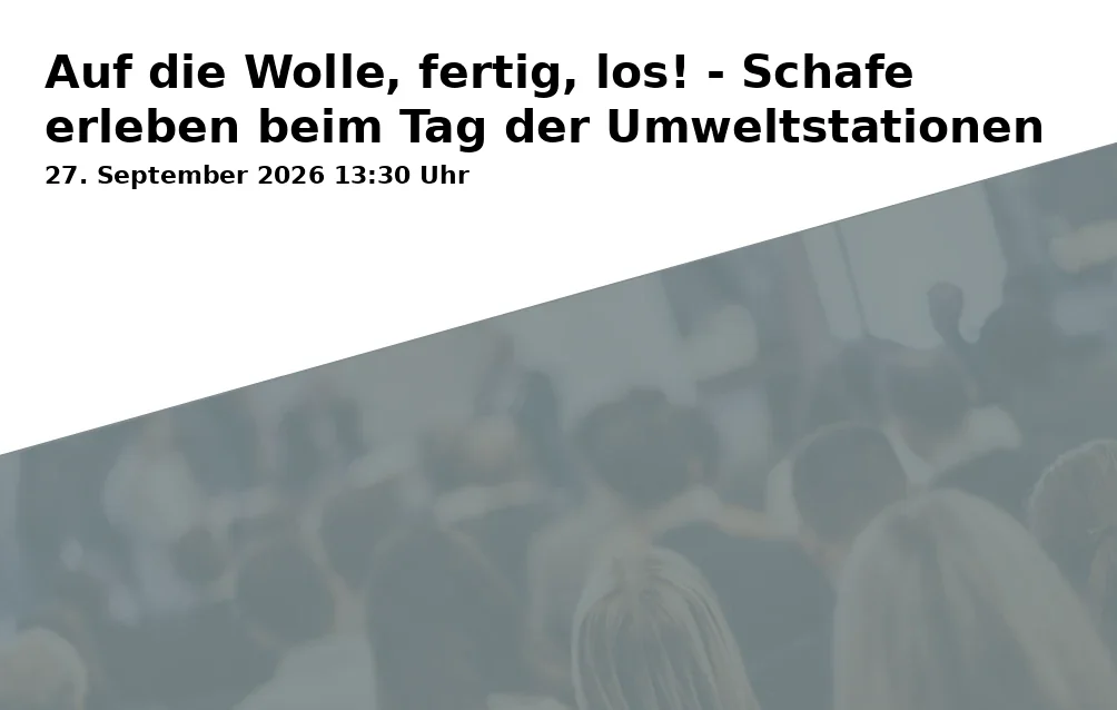 Event: Auf die Wolle, fertig, los! - Schafe erleben beim Tag der Umweltstationen in HeideHaus - München-Fröttmaning, Admiralbogen 77, 80939 München on 27. September 2026