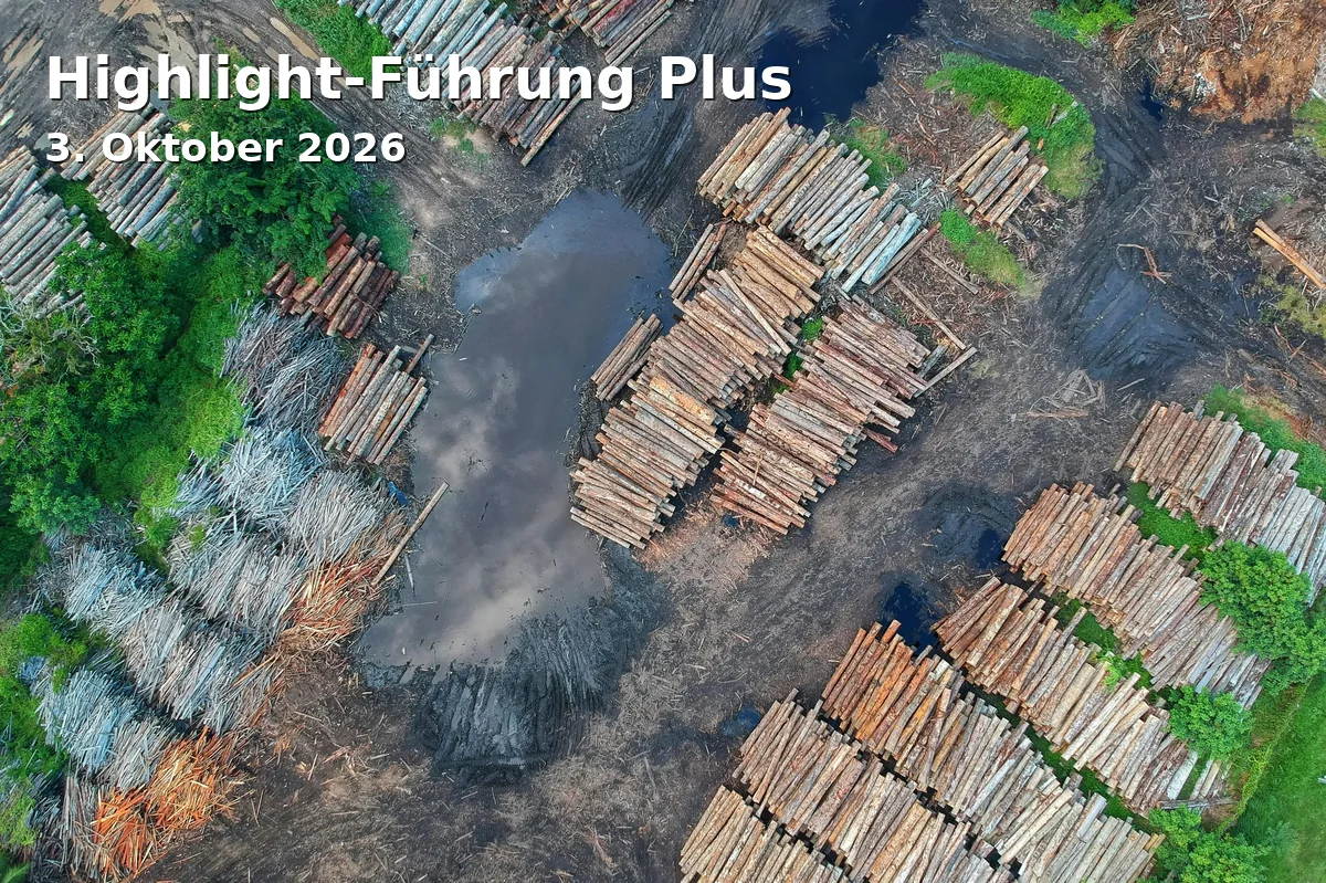 Event: Highlight-Führung Plus in NAWAREUM, Schulgasse 18, 94315 Straubing on 3. Oktober 2026