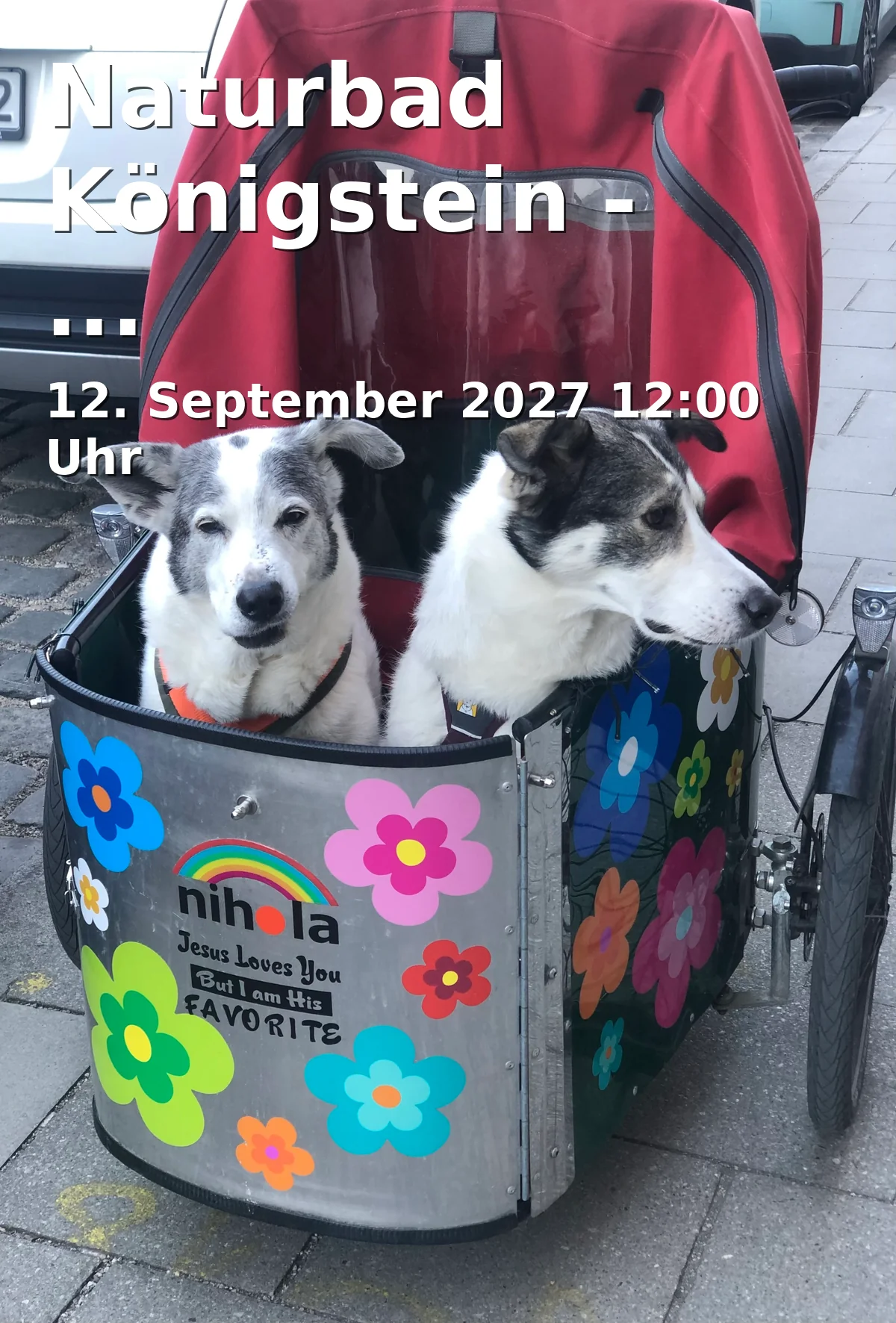 Event: Königstein Nature Pool - Dog Swimming