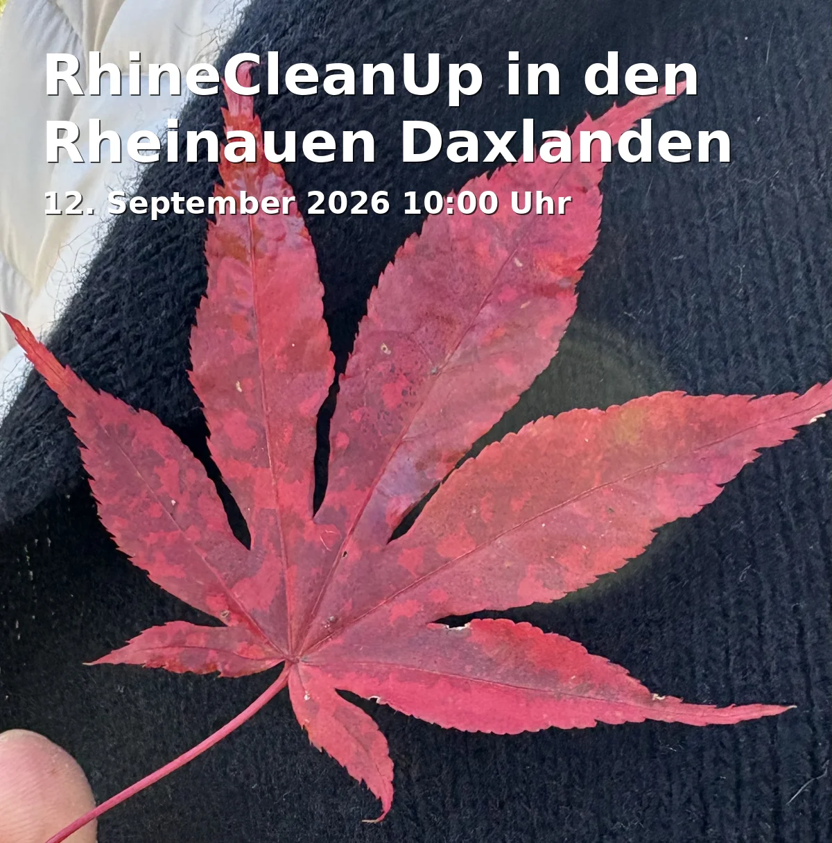 Event: RhineCleanUp in den Rheinauen Daxlanden