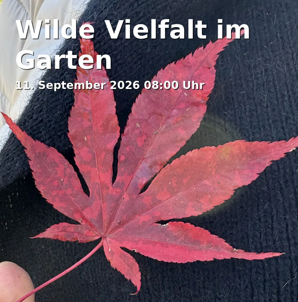 Event: Wilde Vielfalt im Garten in Botanischer Garten, Loschgestr. 1, 91054 Erlangen on 11. September 2026