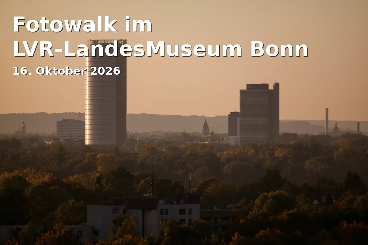 Fotowalk im LVR-LandesMuseum Bonn