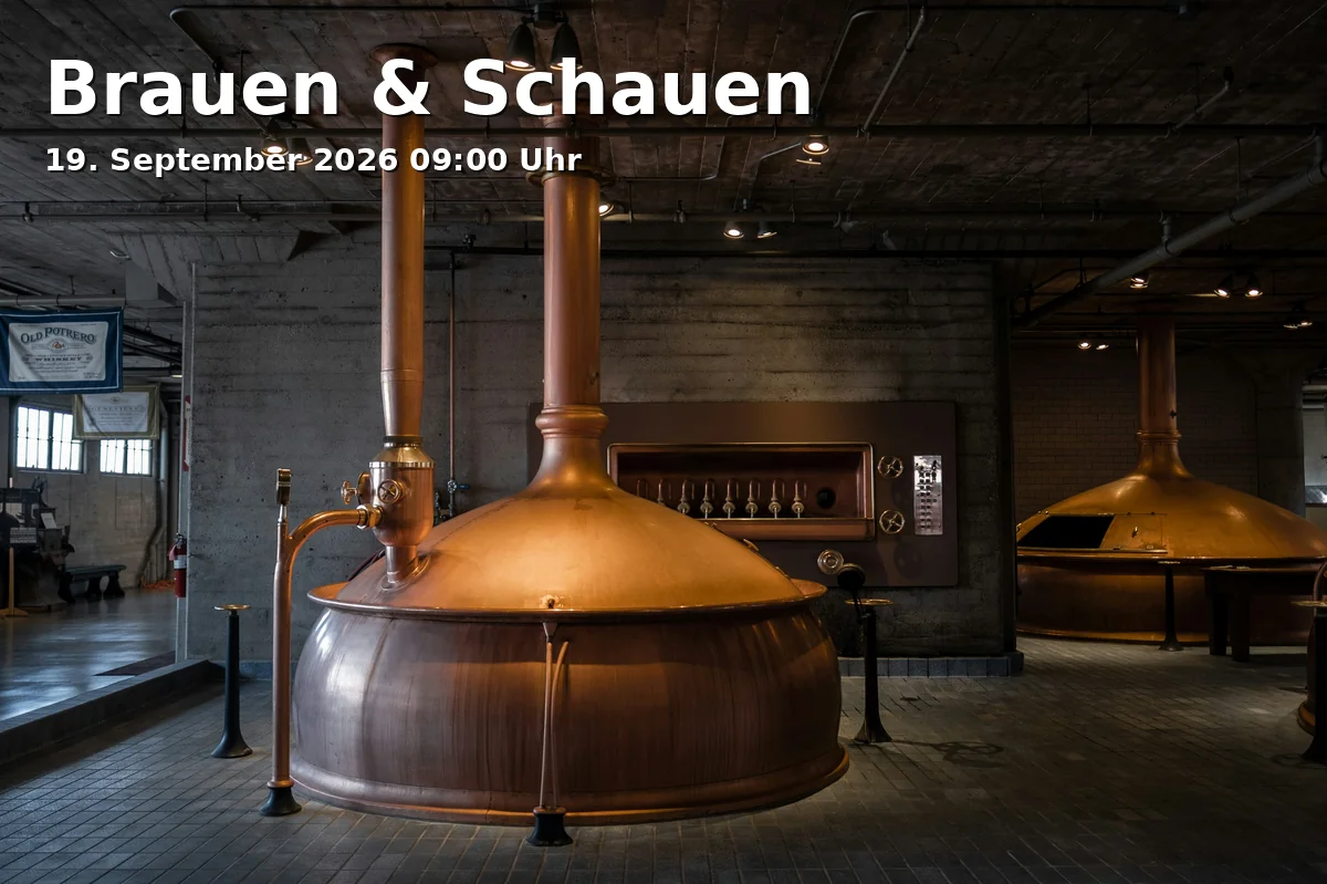 Brauen & Schauen