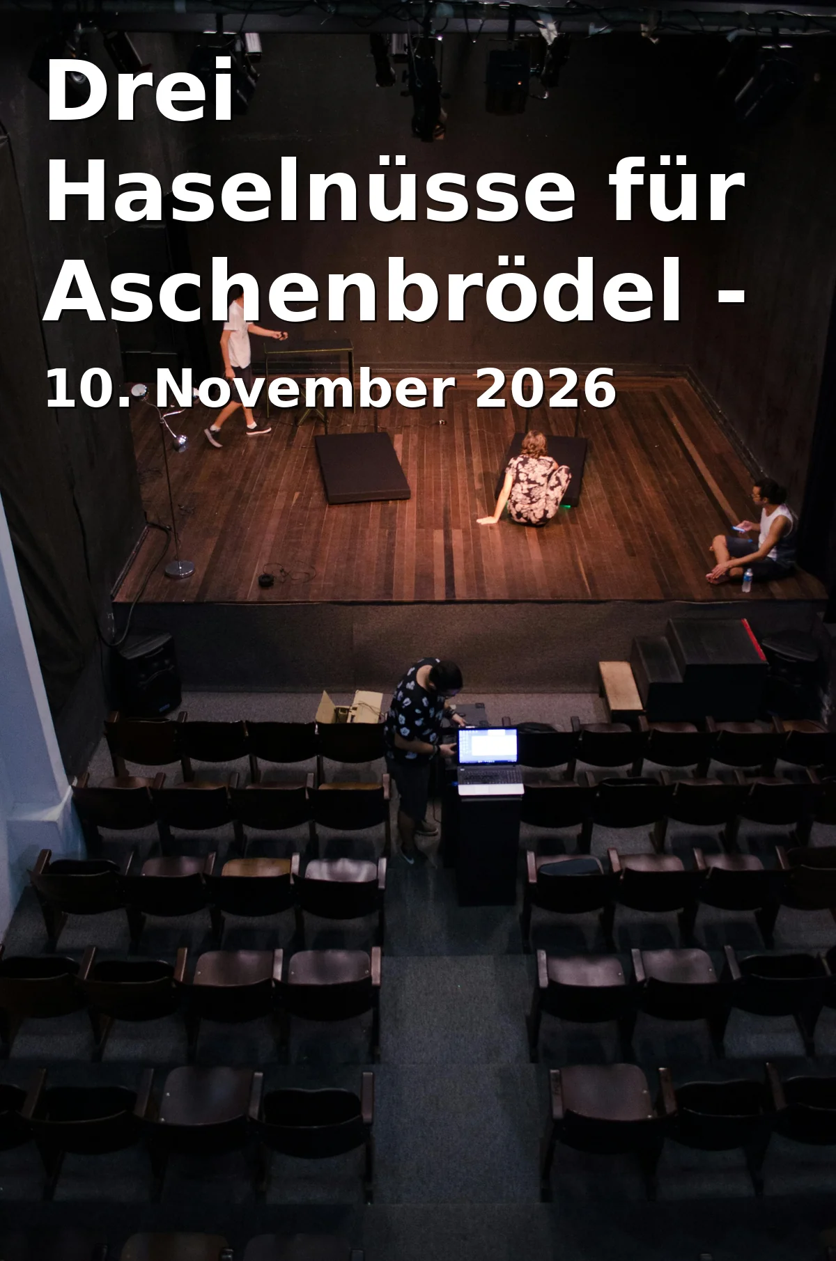 Drei Haselnüsse für Aschenbrödel - Das Musical