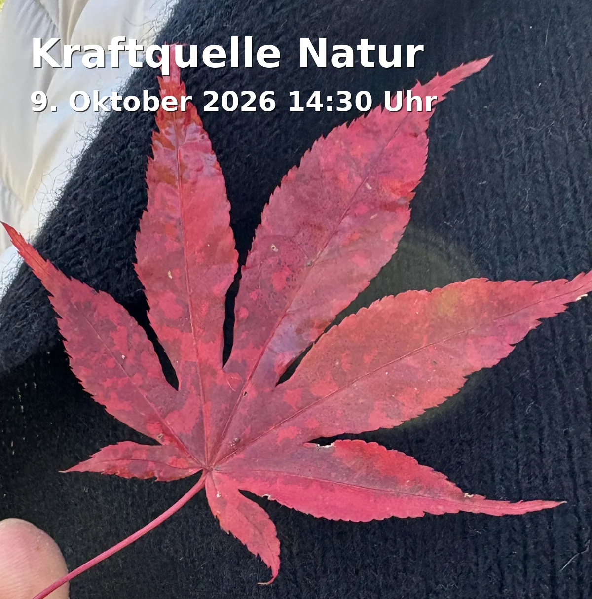 Event: Kraftquelle Natur in Pechgraben, Neudrossenfeld on 9. Oktober 2026