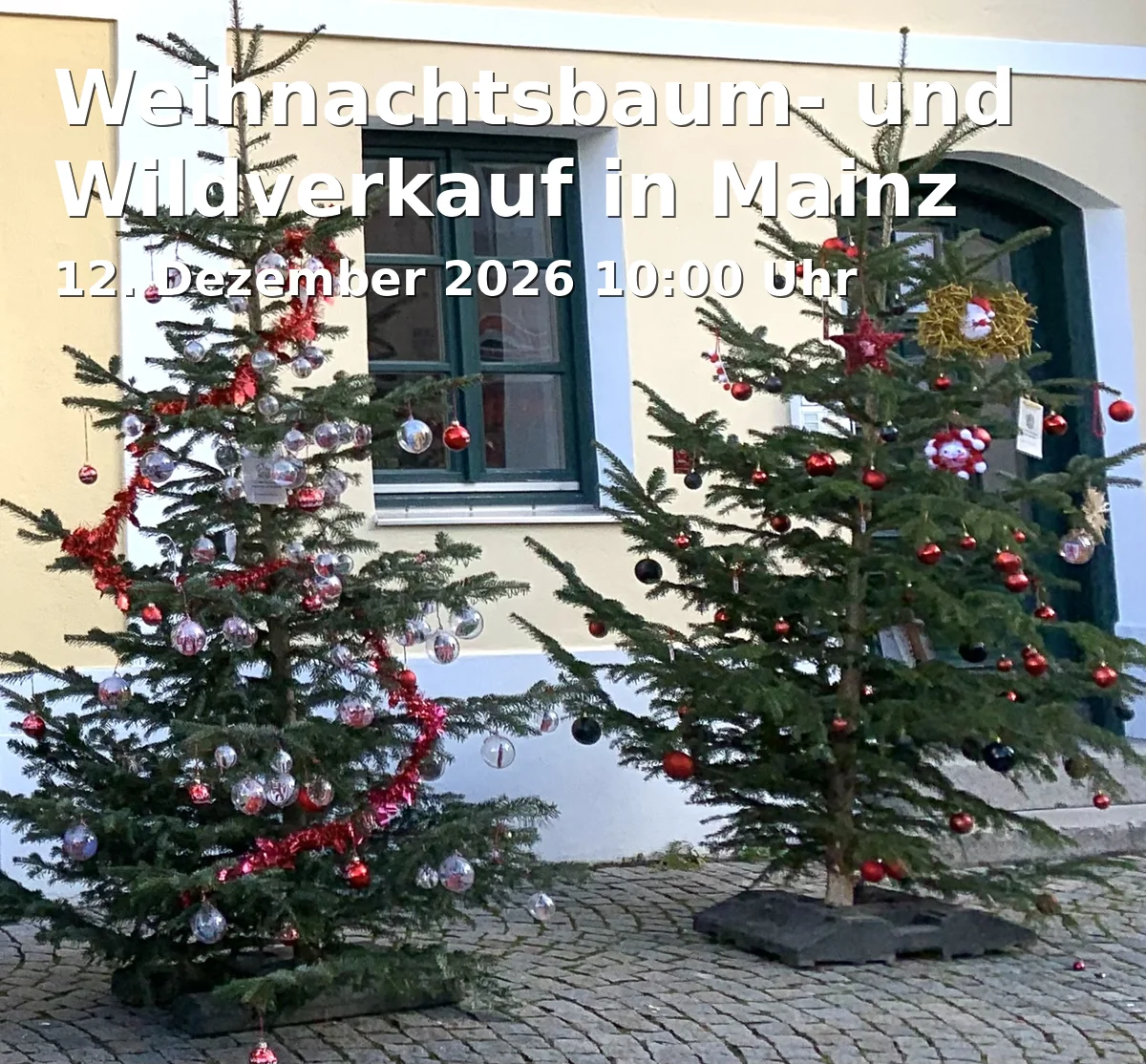 Weihnachtsbaum- und Wildverkauf in Mainz