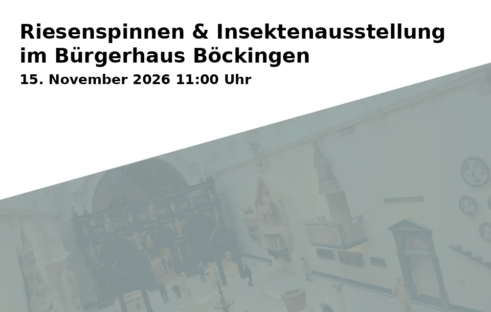 Event: Riesenspinnen & Insektenausstellung im Bürgerhaus Böckingen