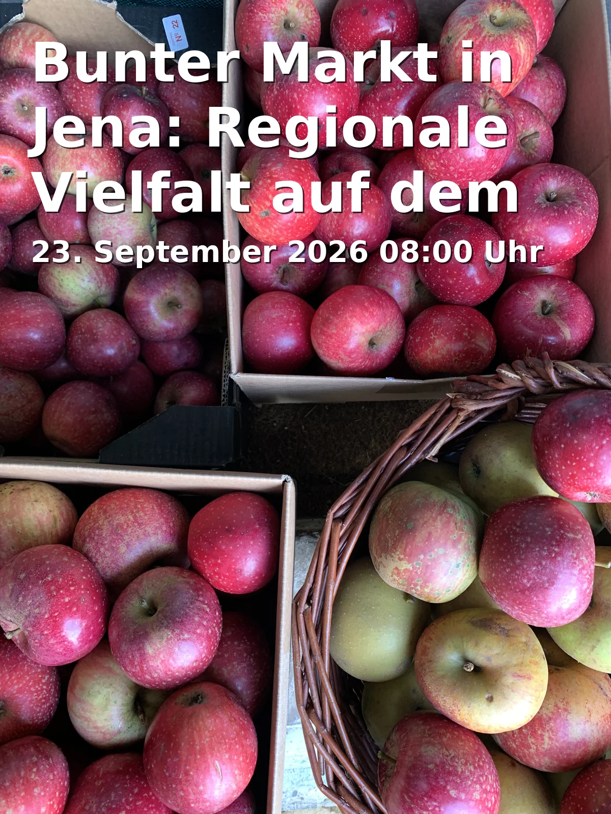 Event: Bunter Markt in Jena: Regionale Vielfalt auf dem Marktplatz in Marktplatz Jena, Markt 1, 07743 Jena on 23. September 2026