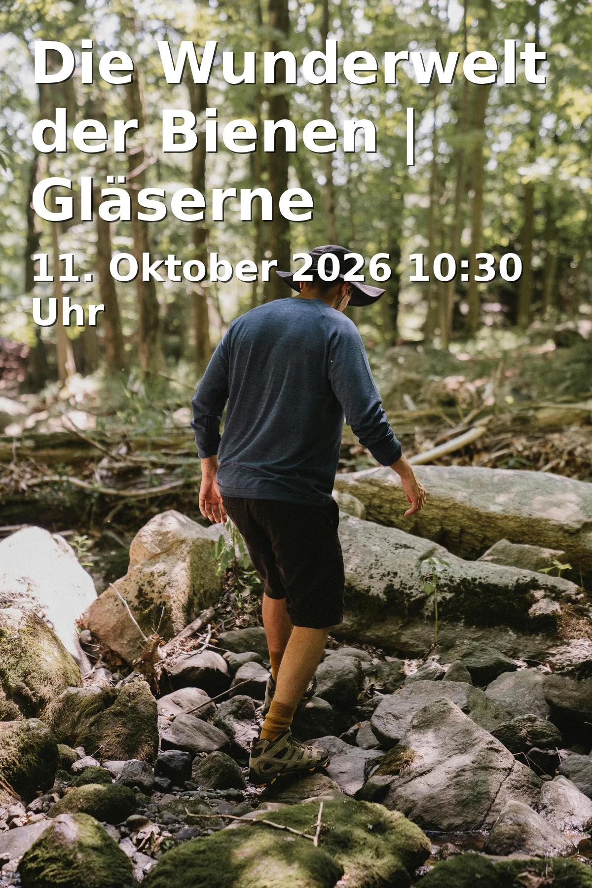Event: Die Wunderwelt der Bienen | Gläserne Imkerei 2026