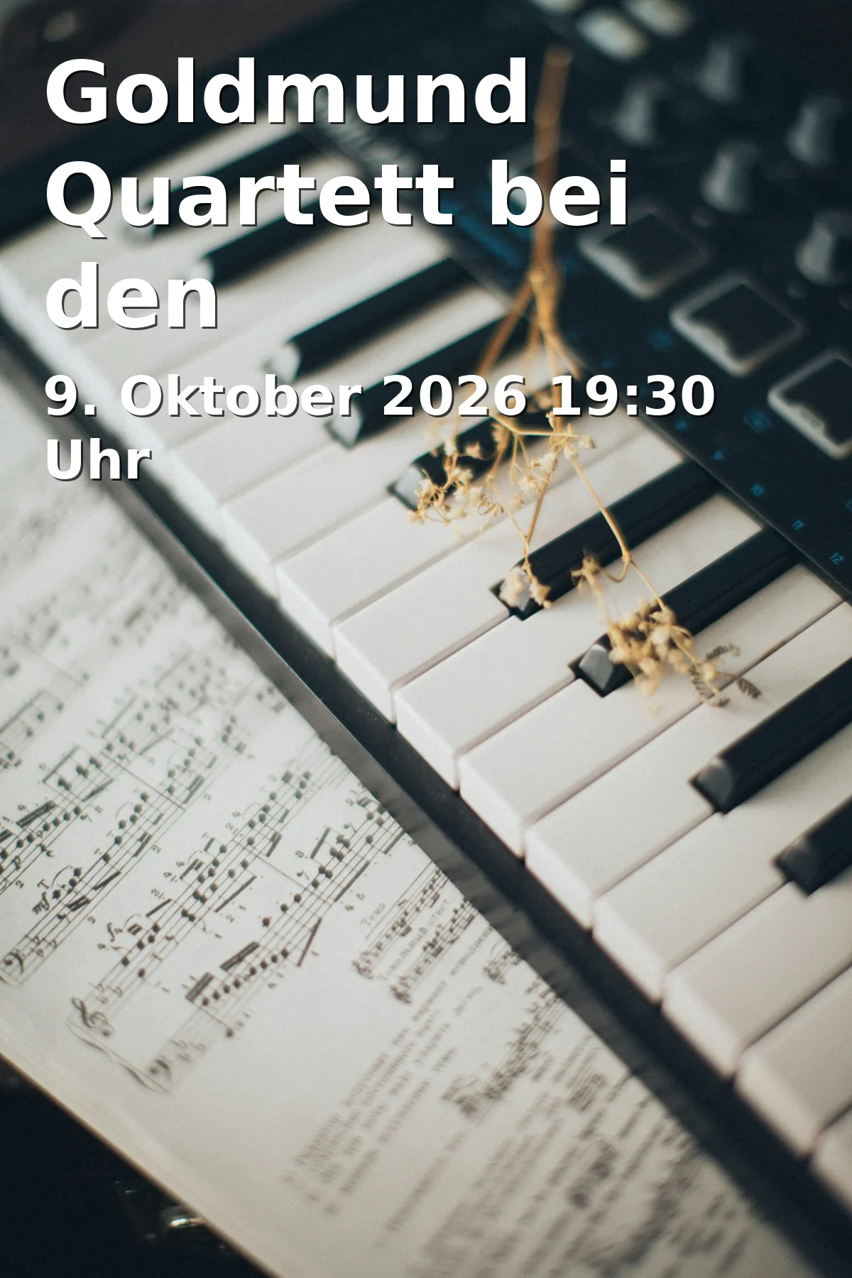 Event: Goldmund Quartett bei den Musikfestspielen Schwaben