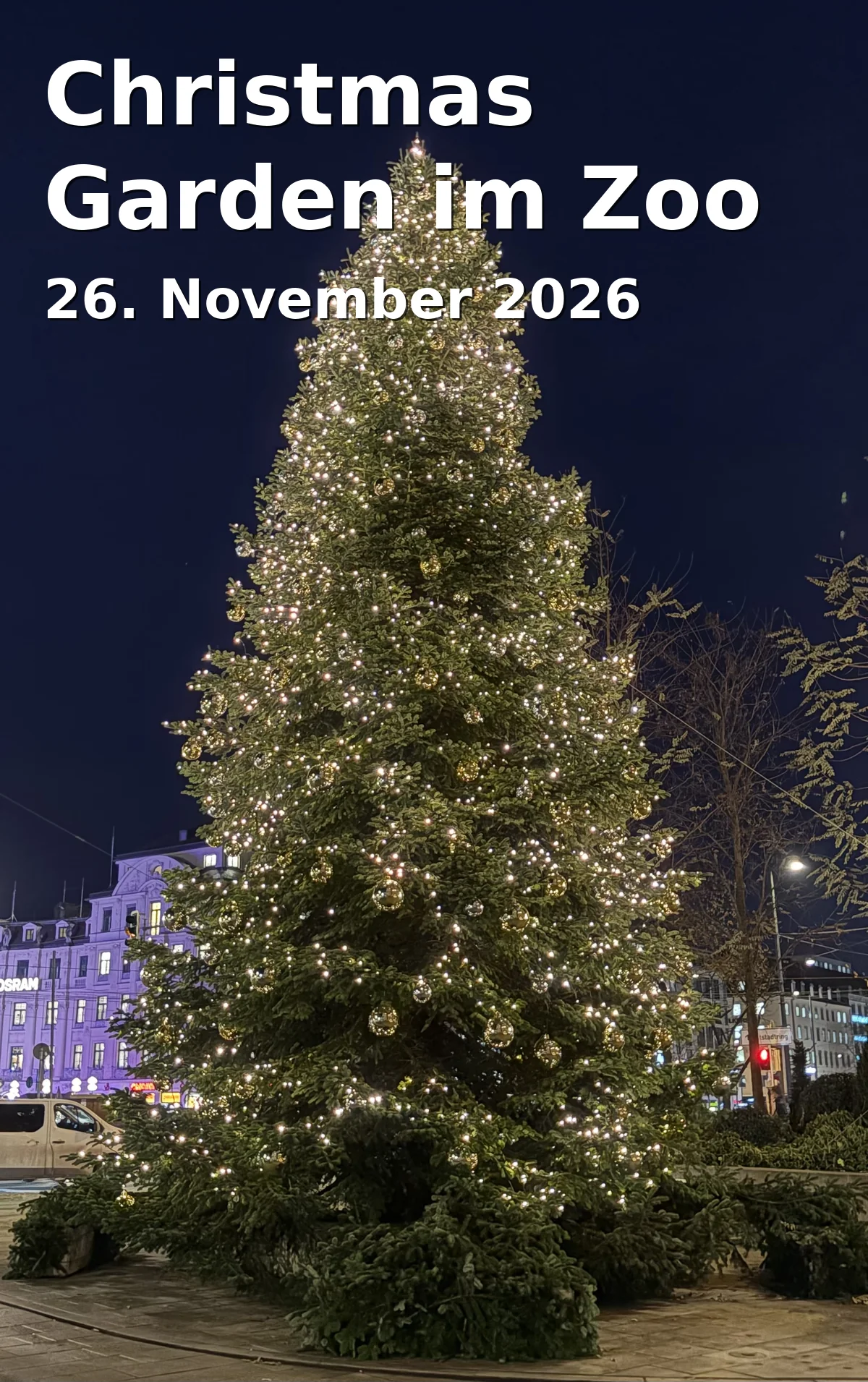Event: Christmas Garden im Zoo