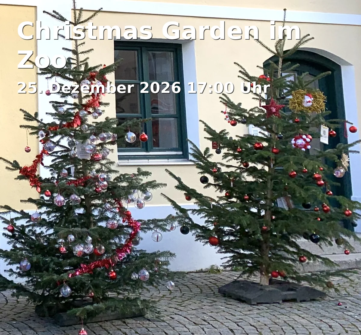 Event: Christmas Garden im Zoo