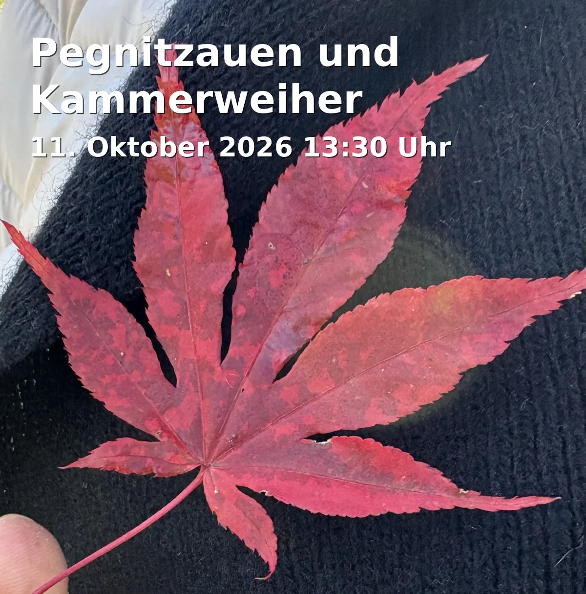 Event: Pegnitzauen und Kammerweiher
