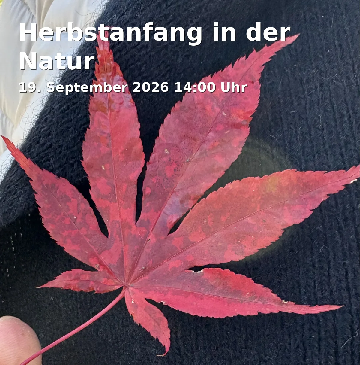 Event: Herbstanfang in der Natur