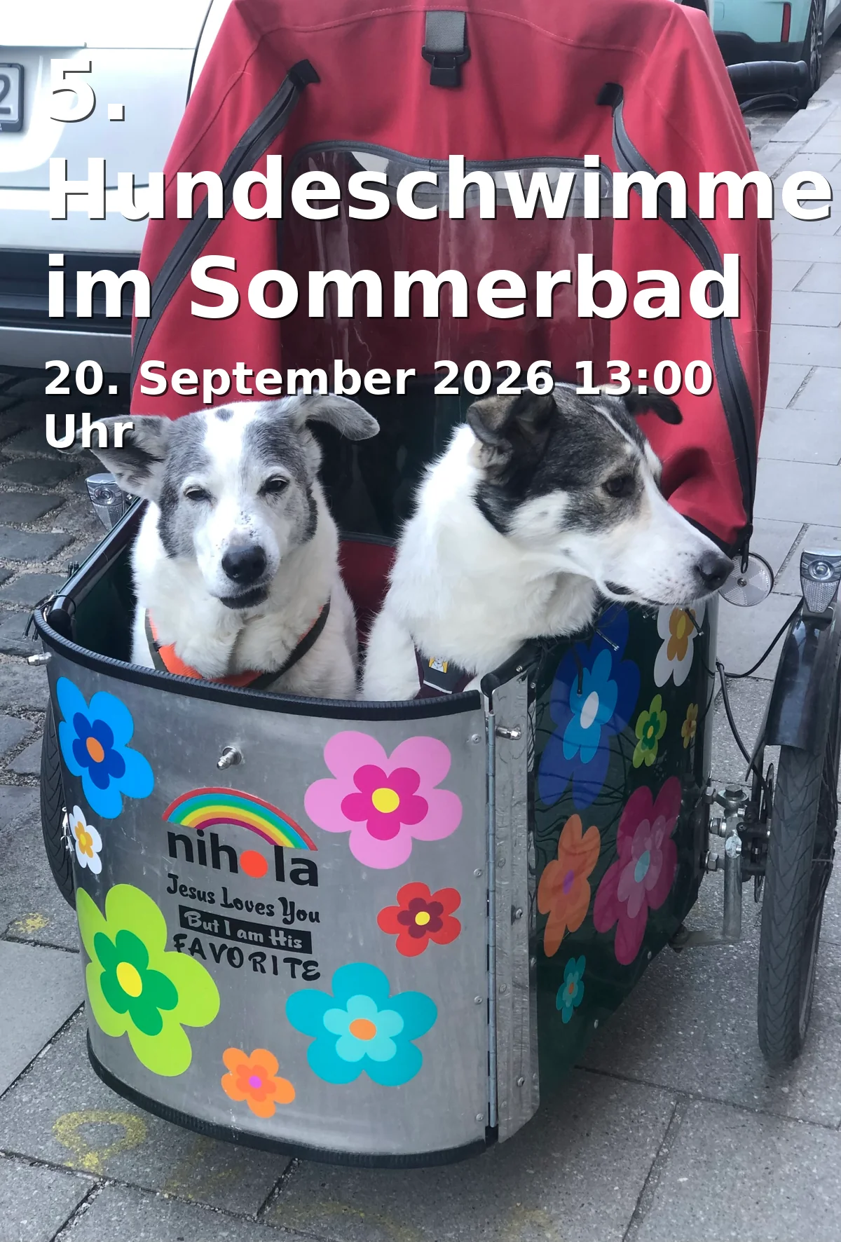 Event: 5. Hundeschwimmen im Sommerbad Gauting