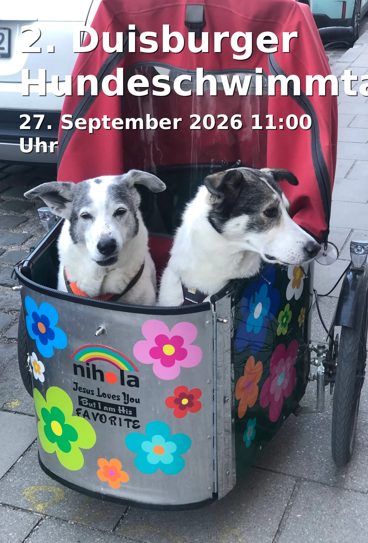 Event: 2. Duisburger Hundeschwimmtage in Freibad Homberg, Schillerstr. 160, 47198 Duisburg on 27. September 2026