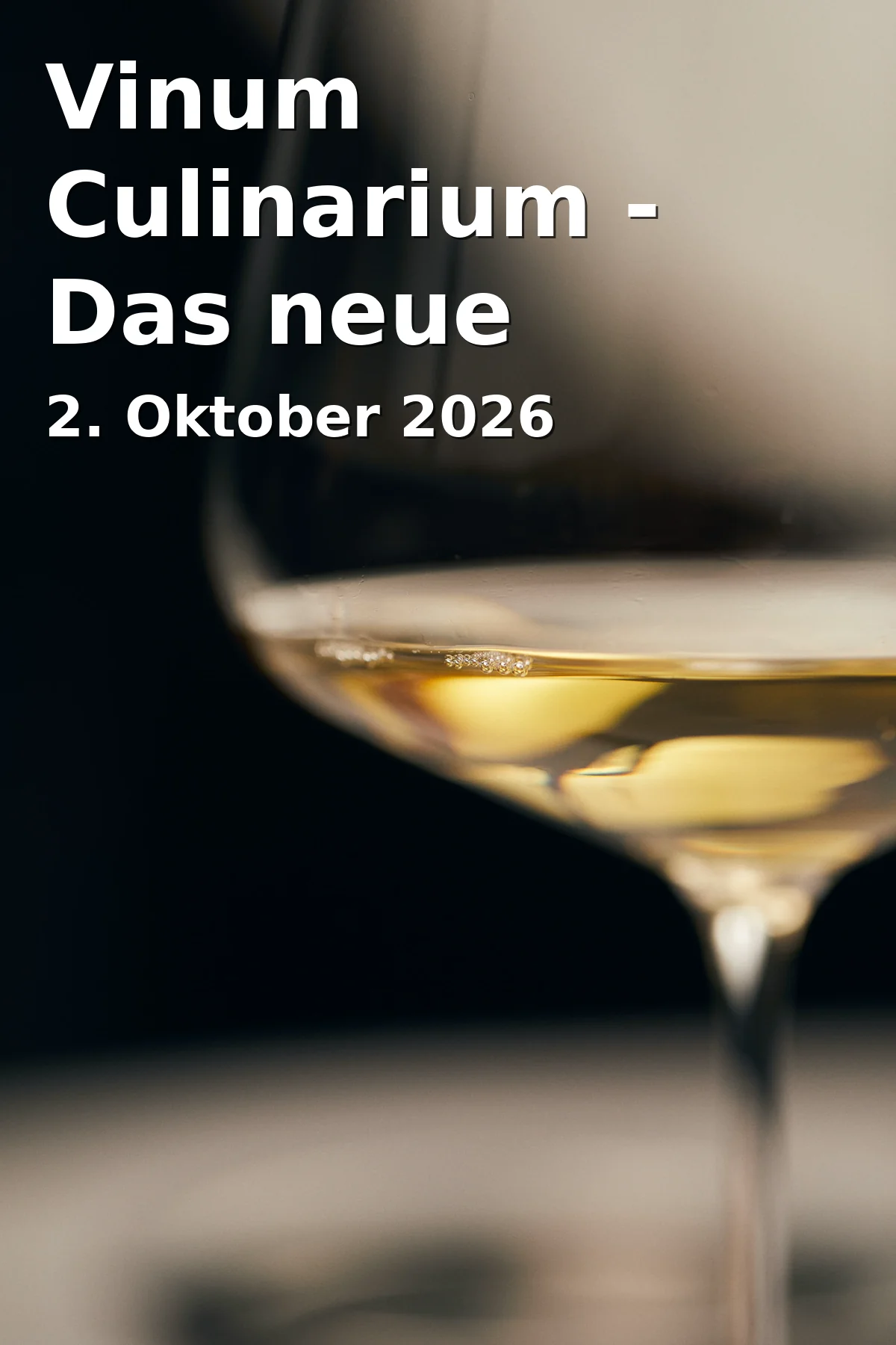 Vinum Culinarium - Das neue Weinfest in Aschaffenburg