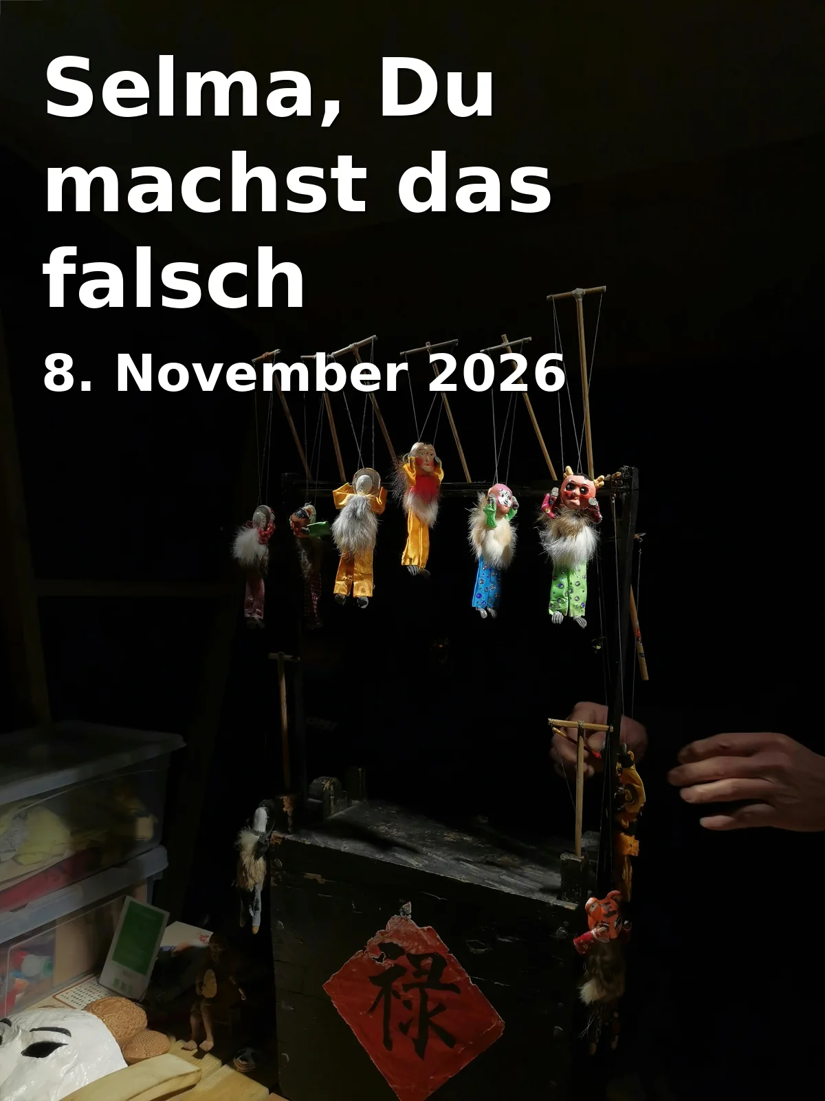 Event: Selma, Du machst das falsch in Theaterhaus Hildesheim, Langer Hagen 26, 31134 Hildesheim on 8. November 2026