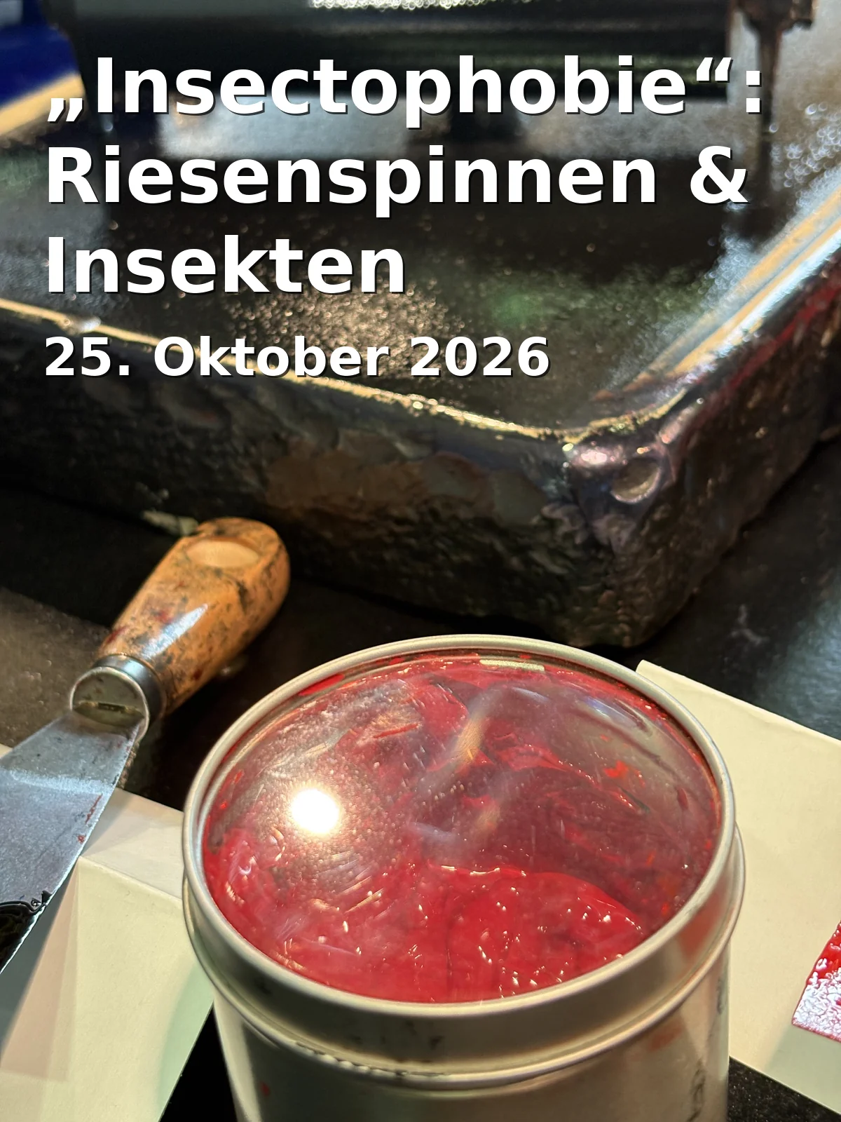 Event: „Insectophobie“: Riesenspinnen & Insekten Ausstellung in Ballhaus Rosenheim, Weinstraße 12, Rosenheim on 25. Oktober 2026