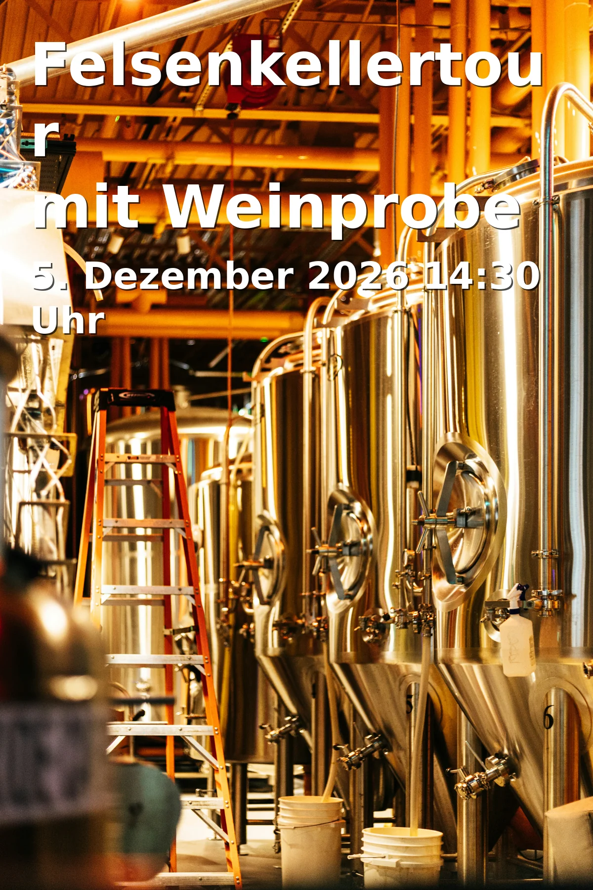 Event: Felsenkellertour mit Weinprobe