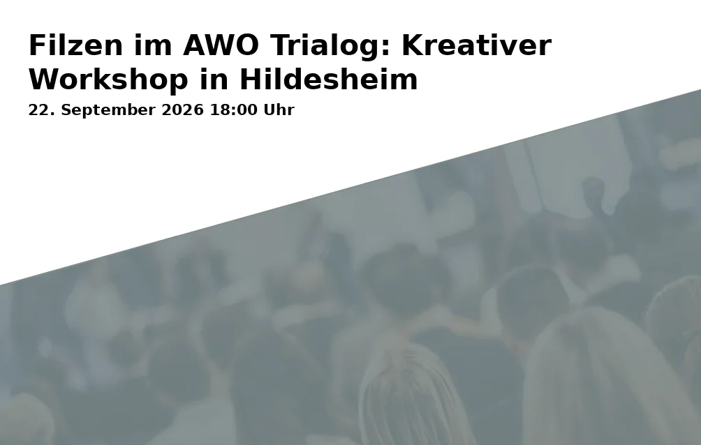 Filzen im AWO Trialog: Kreativer Workshop in Hildesheim