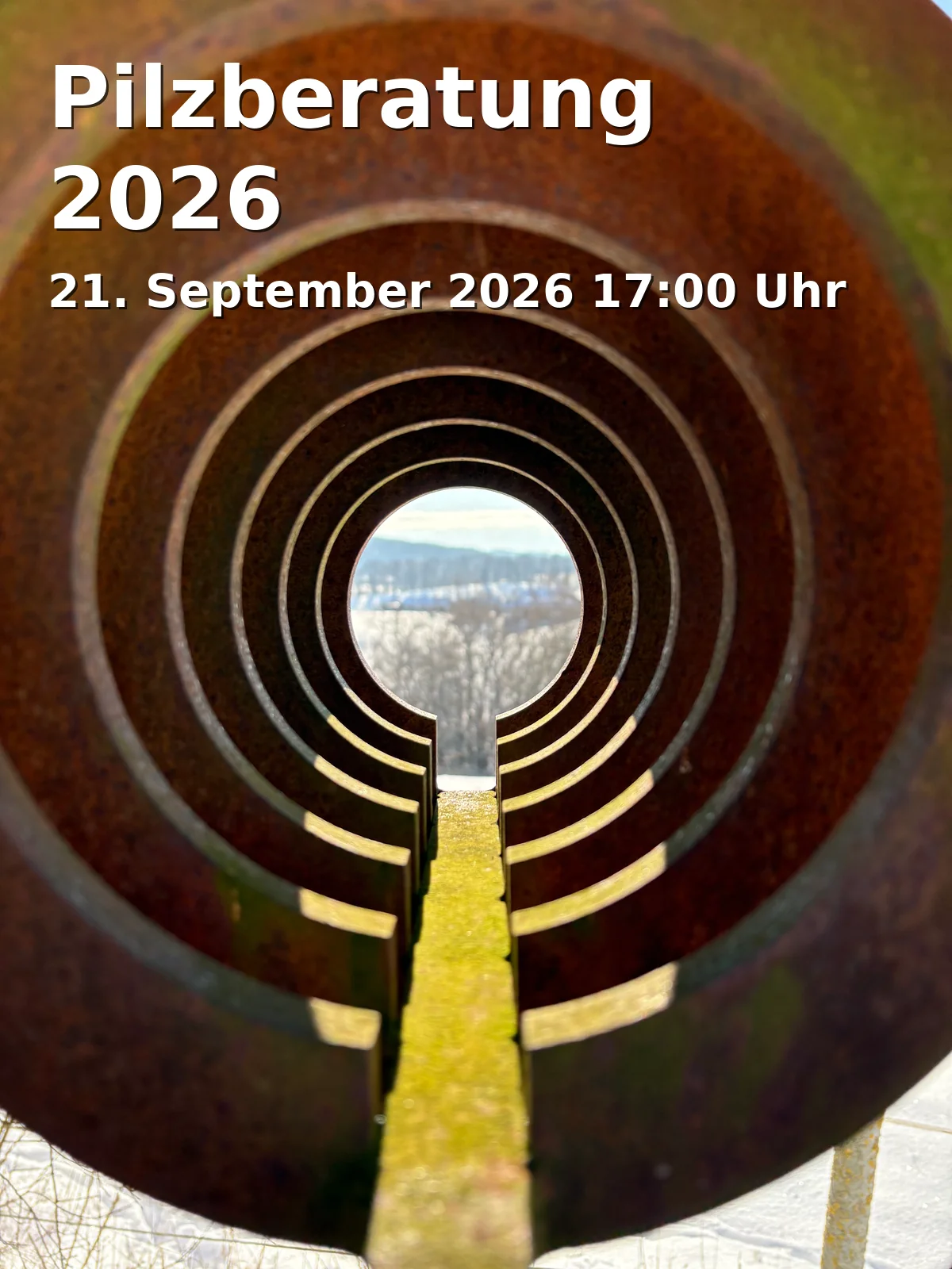 Pilzberatung 2026