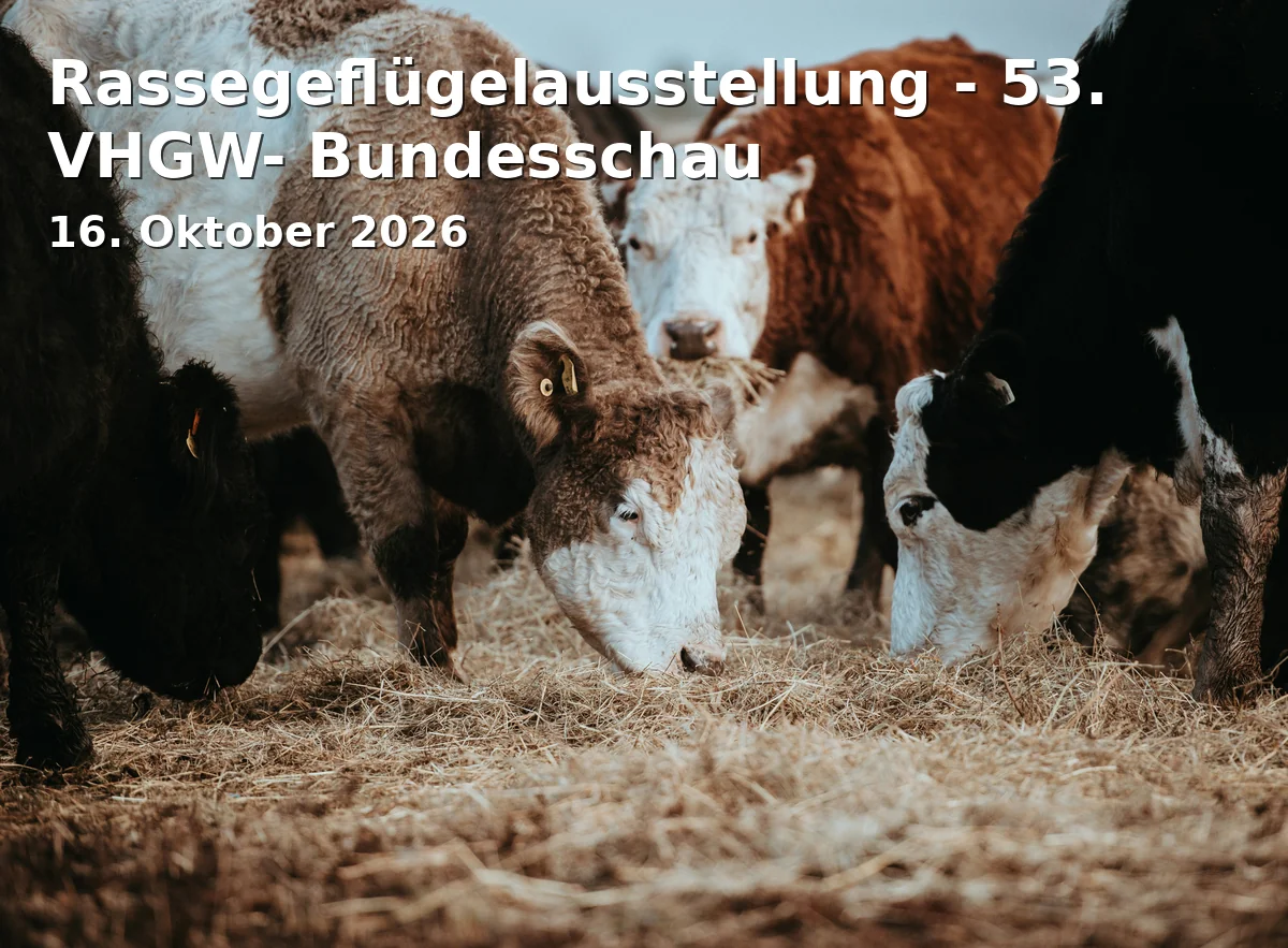 Event: Rassegeflügelausstellung - 53. VHGW- Bundesschau in Messe Erfurt, Gothaer Str. 34, 99094 Erfurt on 16. Oktober 2026