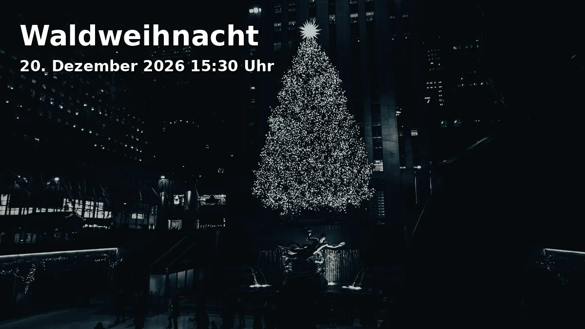 Event: Forest Christmas