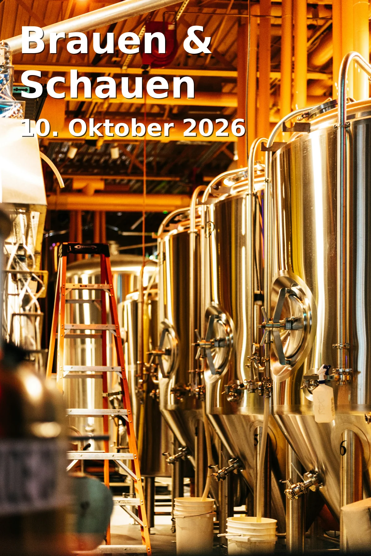 Event: Brauen & Schauen