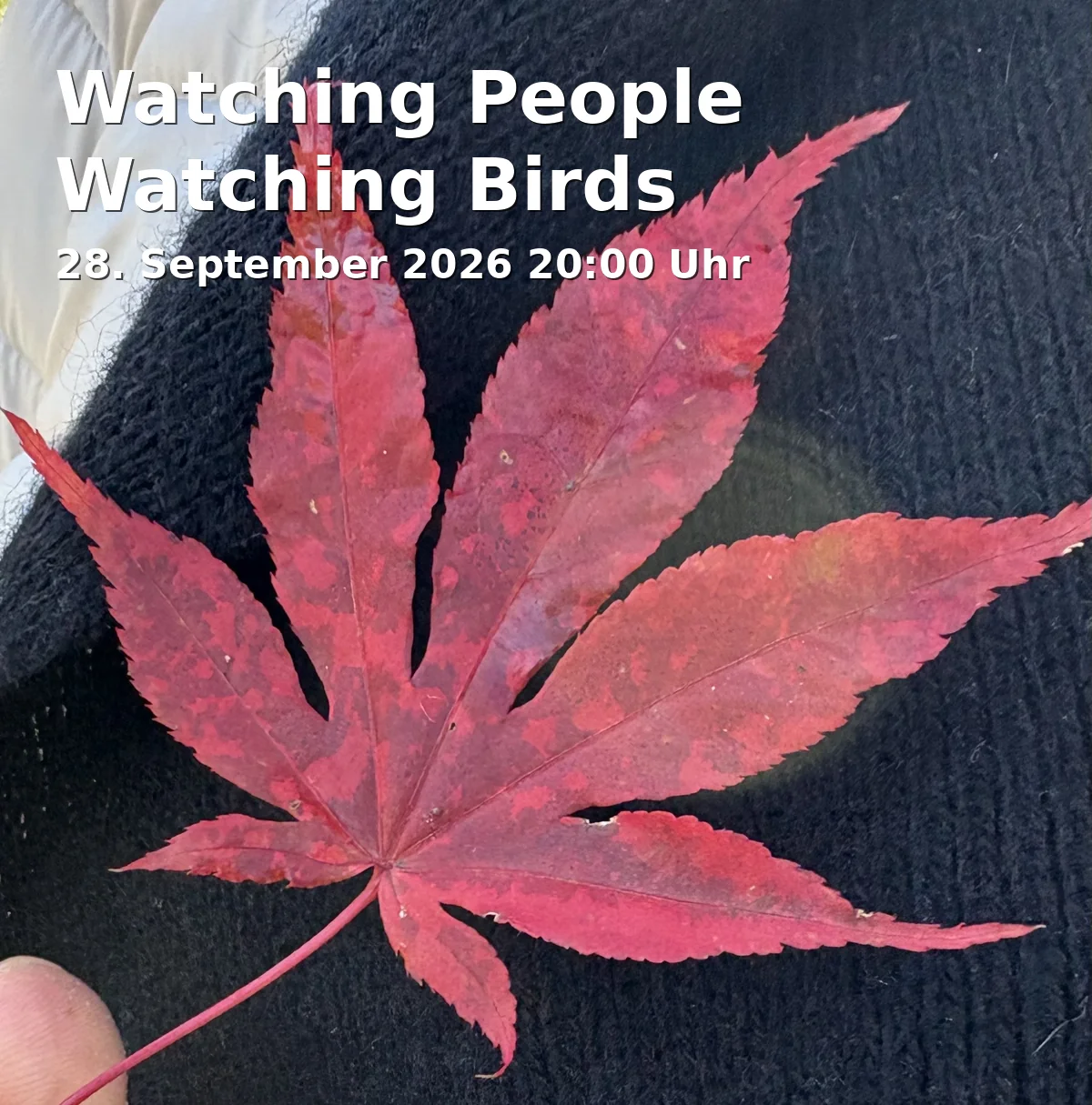 Event: Watching People Watching Birds in filmforum, Dellplatz 16, 47051 Duisburg on 28. September 2026
