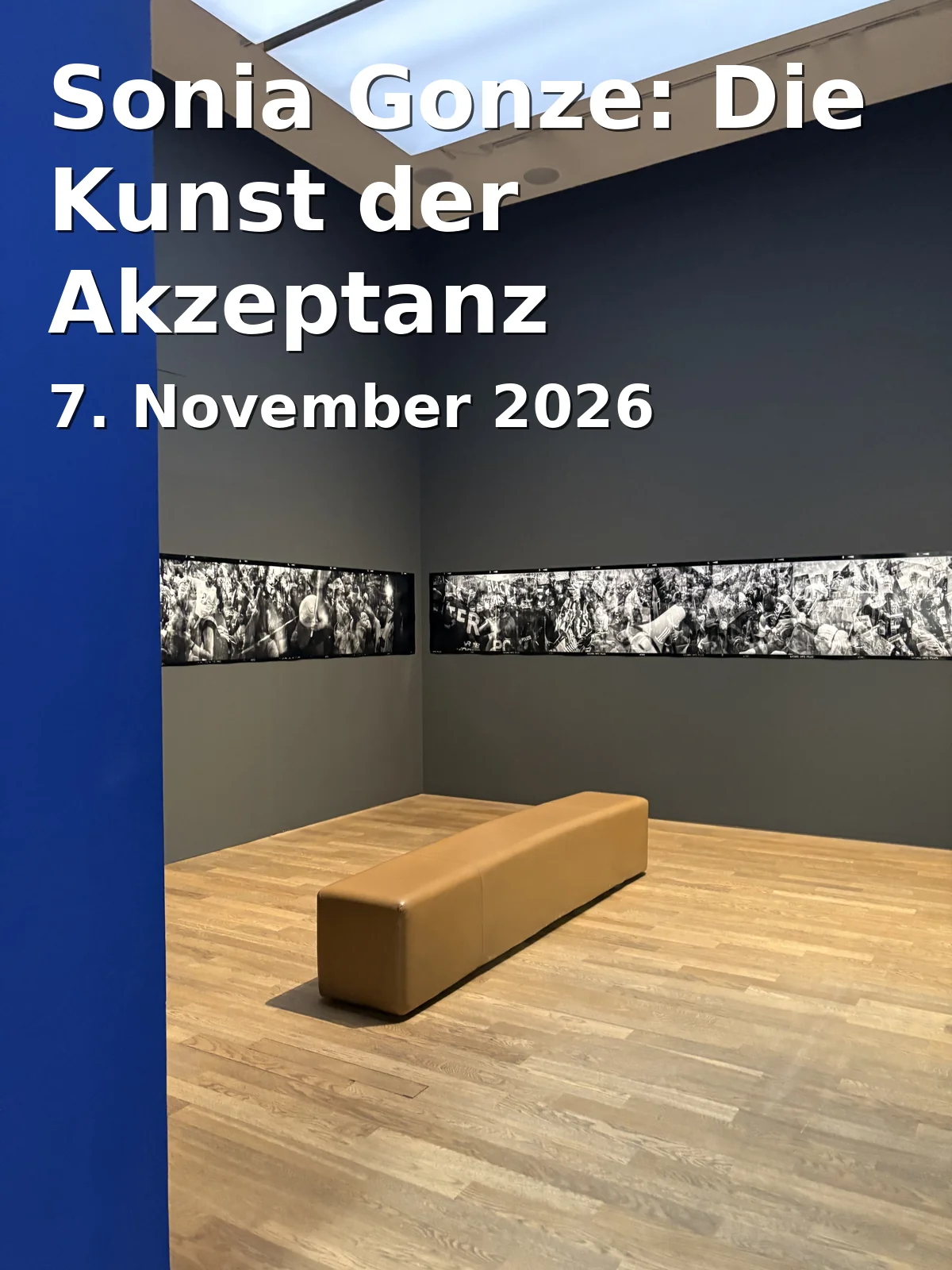 Event: Sonia Gonze: Die Kunst der Akzeptanz in südpunkt, Pillenreuther Str. 147, 90459 Nürnberg on 7. November 2026