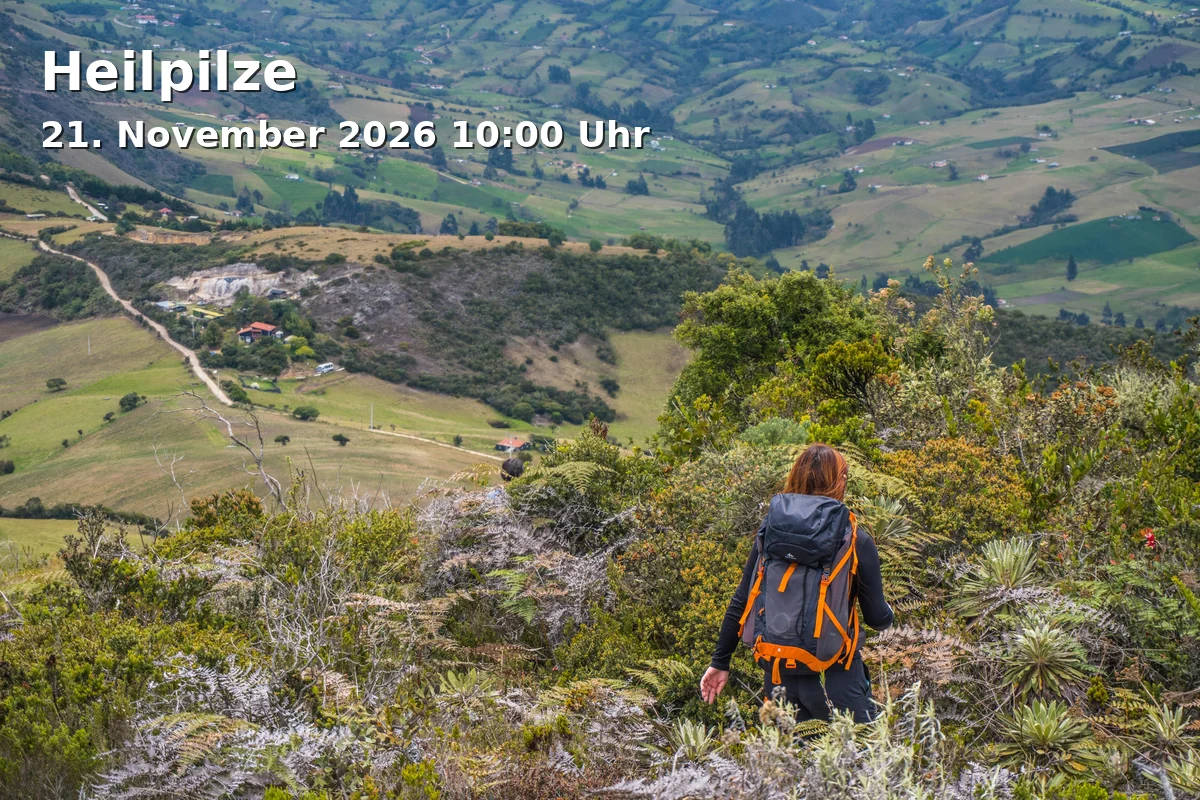 Event: Heilpilze in Haus der Begegnung, Zum Teufelssee 30, 14478 Potsdam on 21. November 2026