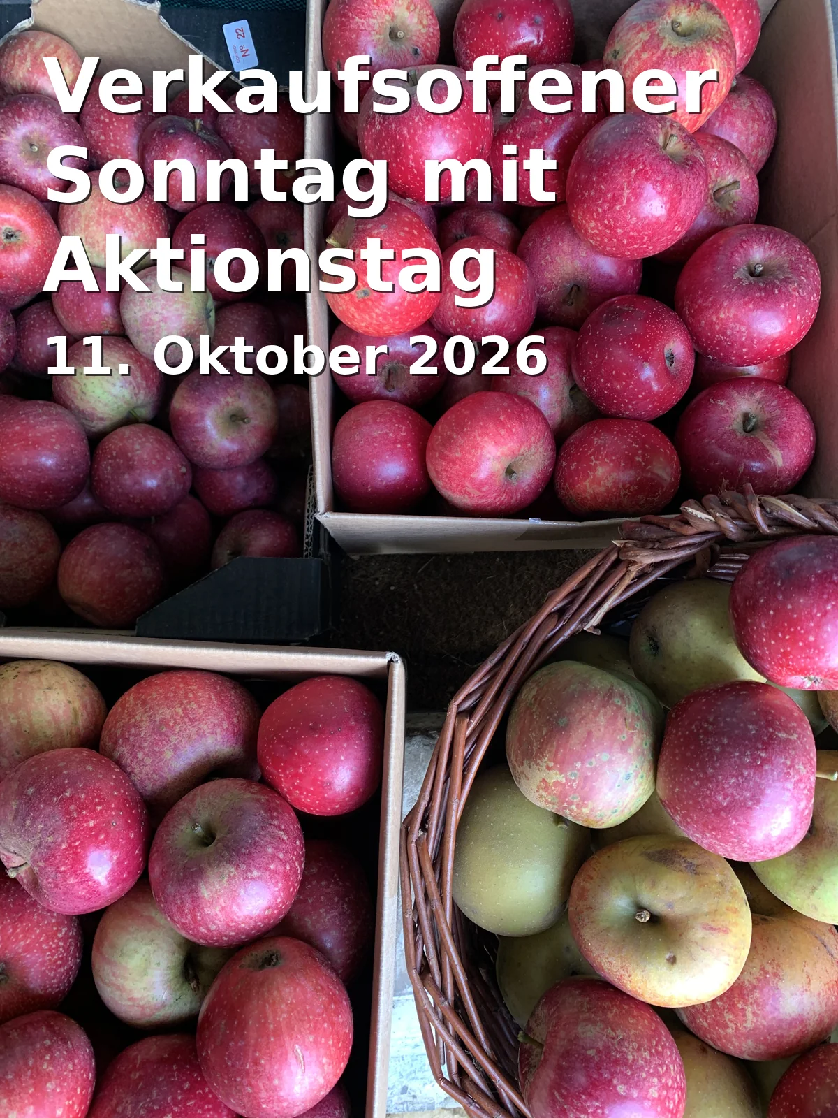 Event: Verkaufsoffener Sonntag mit Aktionstag Ehrenamt in Landshuter Innenstadt und Obere Neustadt, 84028 Landshut on 11. Oktober 2026