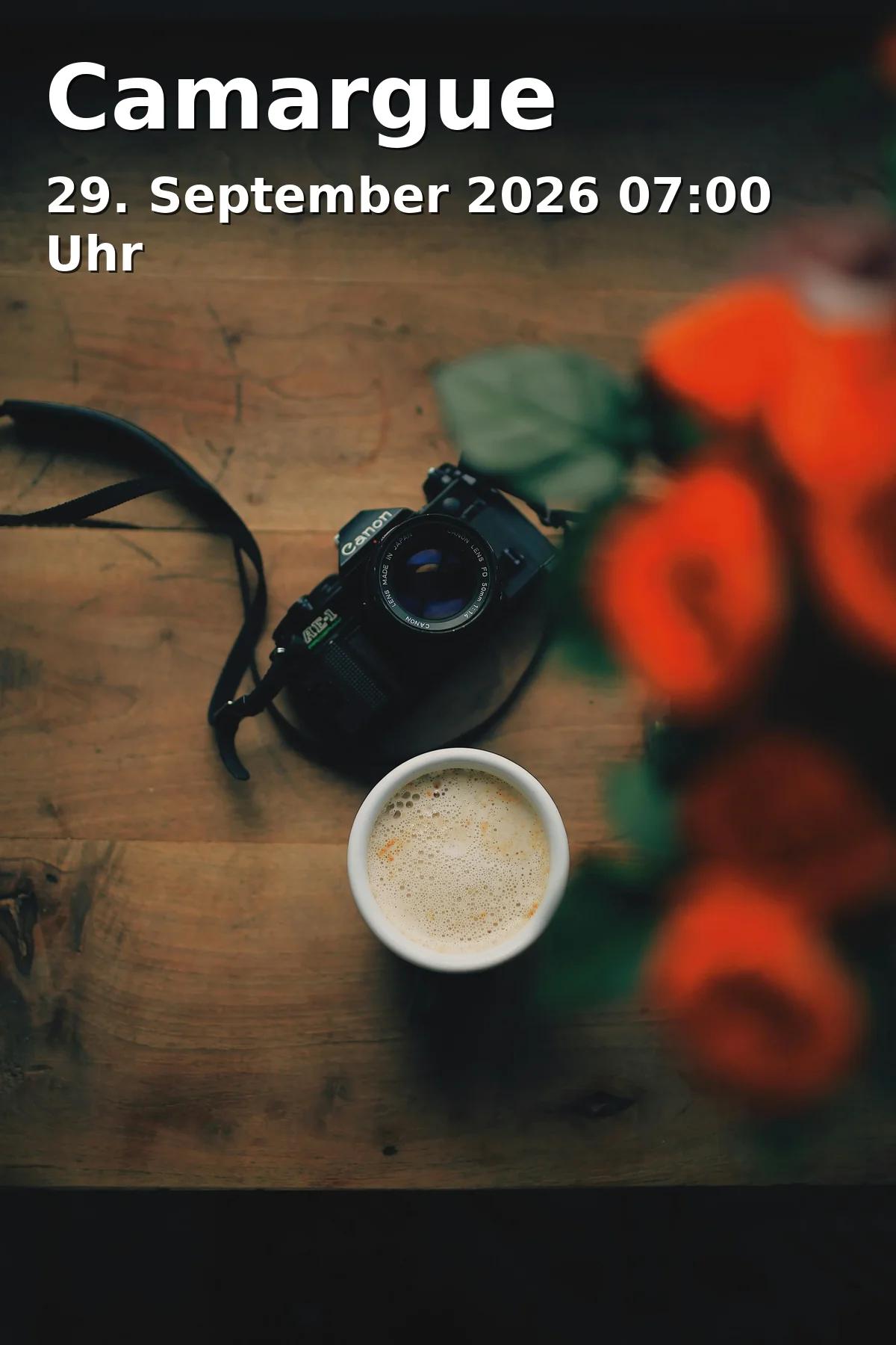 Event: Camargue in Bürgertreff Röthelheim – Fenstergalerie, Berliner Platz 1, 91052 Erlangen on 29. September 2026