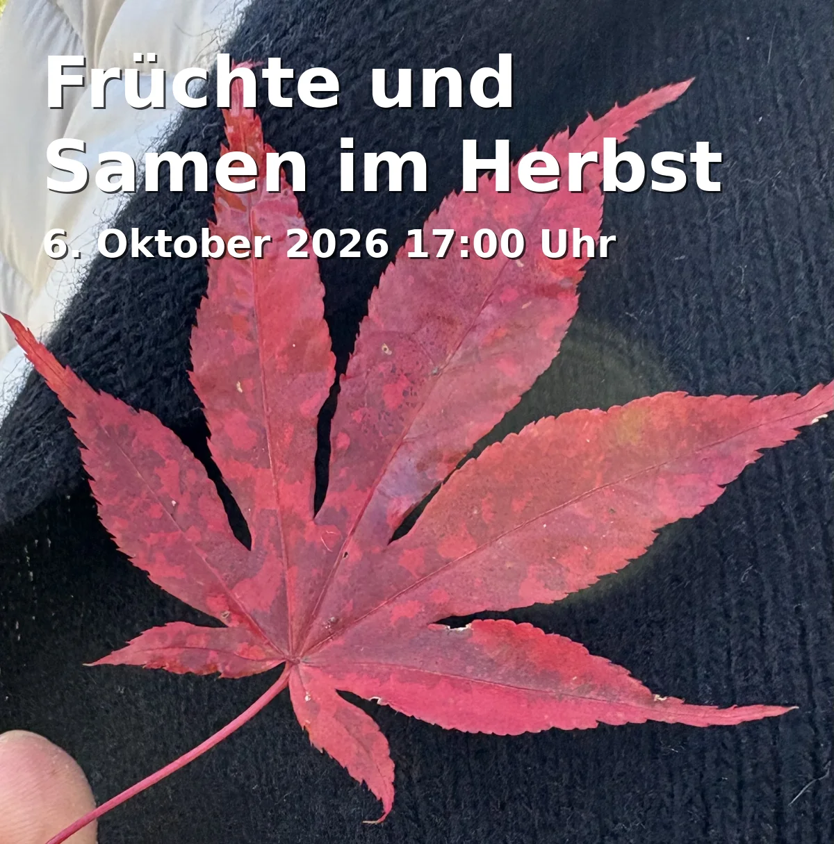 Event: Fruits and Seeds in Autumn in Botanischer Garten Braunschweig, Eingang Bültenweg schräg gegenüber vom Theater, 38106 Braunschweig on 6. October 2026