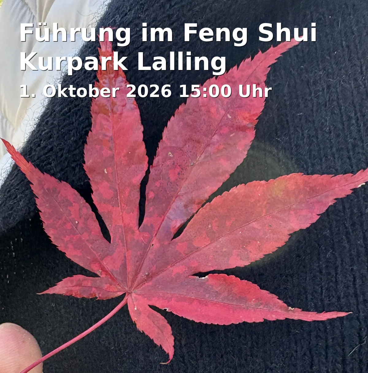 Führung im Feng Shui Kurpark Lalling